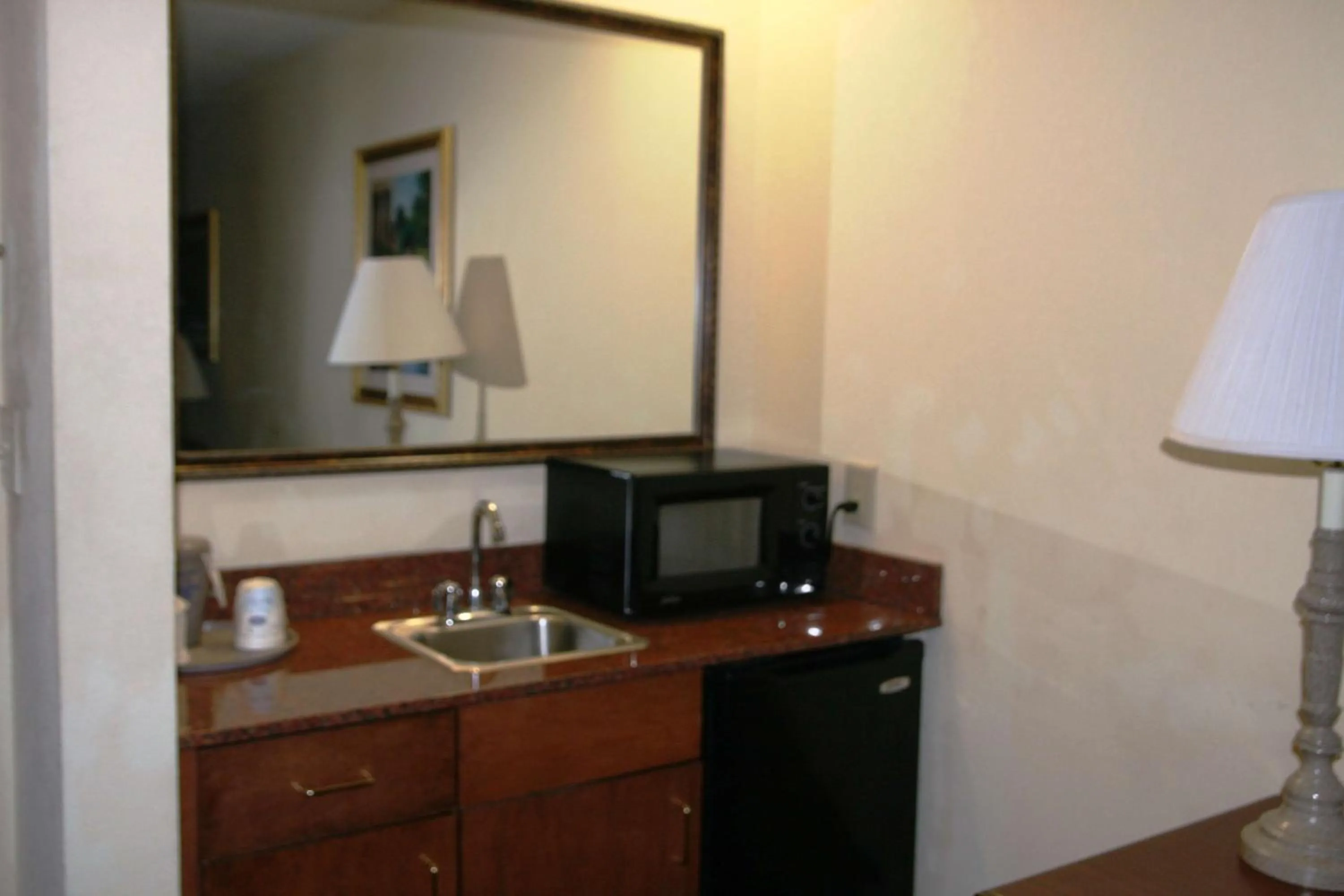 Kitchen or kitchenette in Hampton Inn Canton