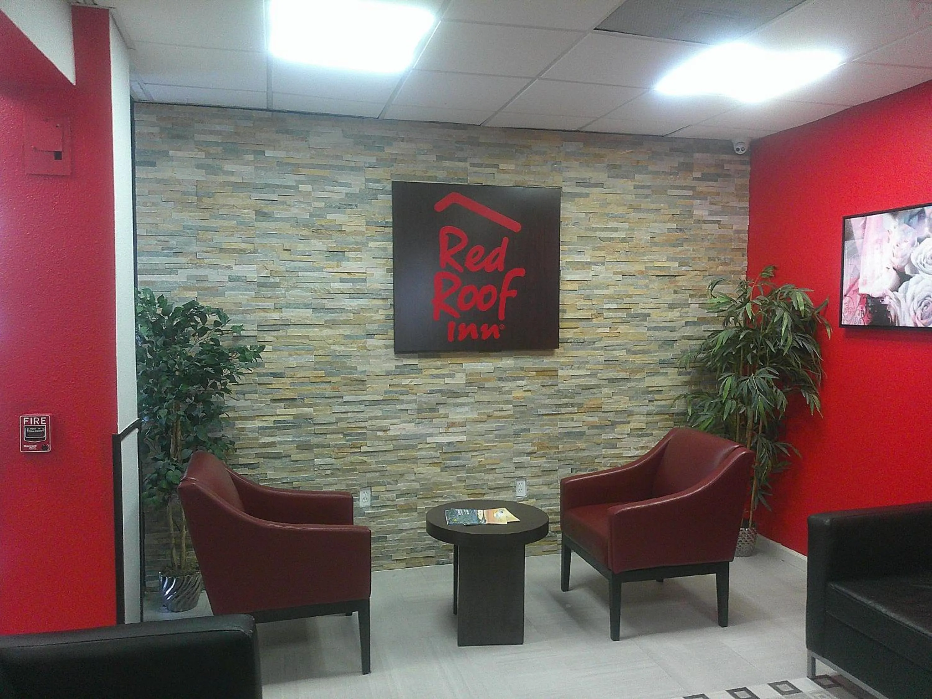 Lobby or reception in Red Roof Inn Corpus Christi North - Near Downtown