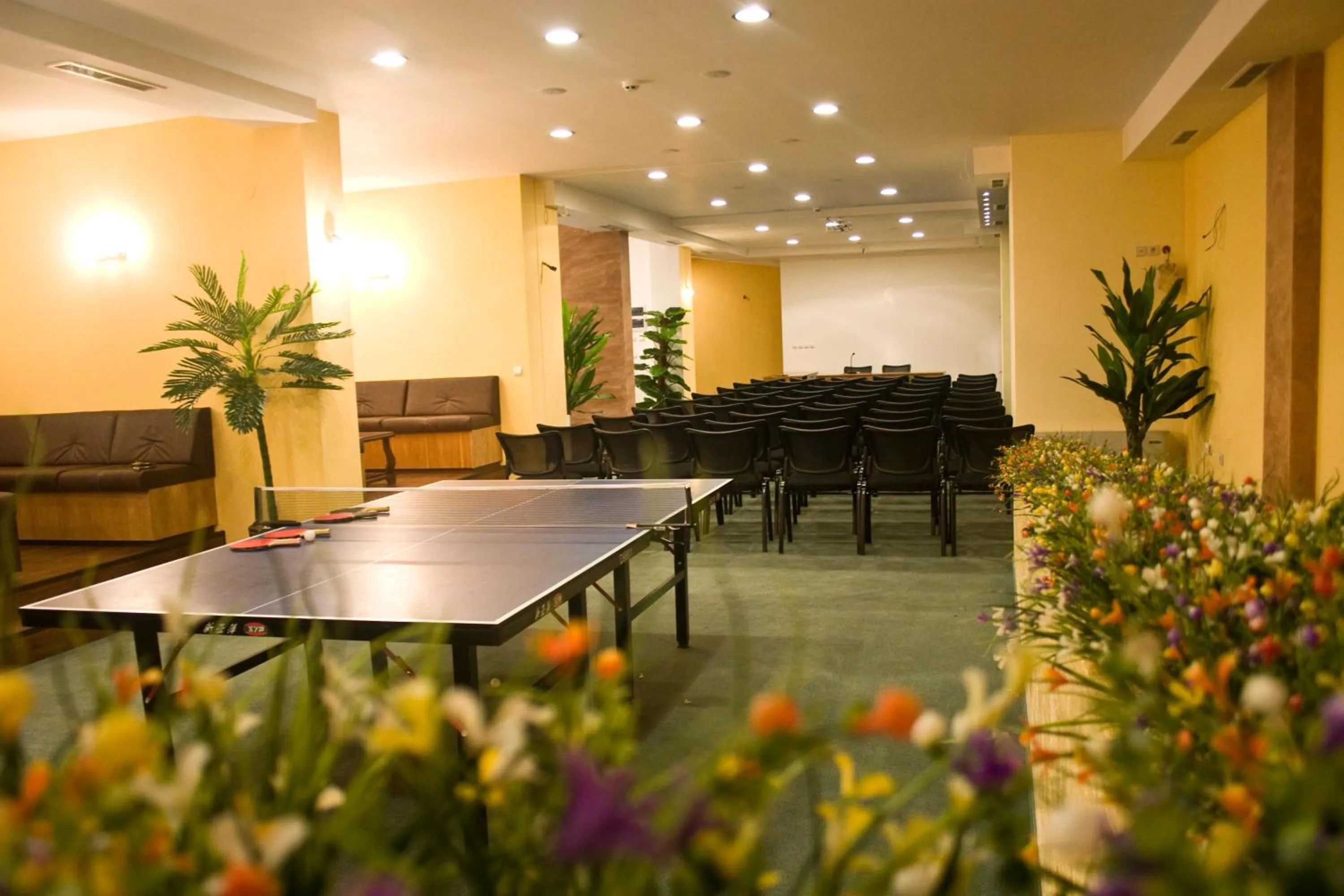 Table tennis in Complex Kamelia