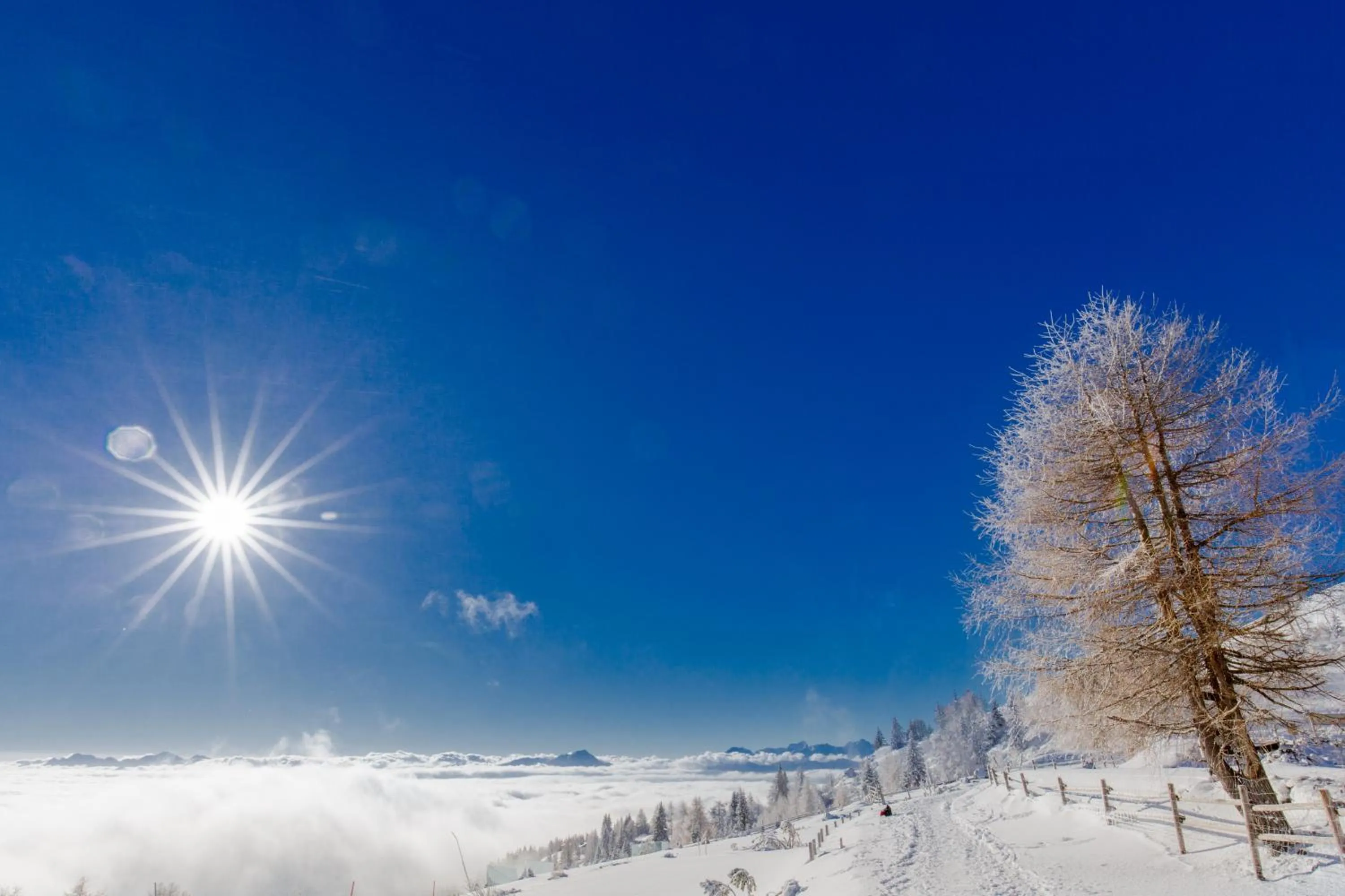 Skiing in Wellness Landhaus Parth