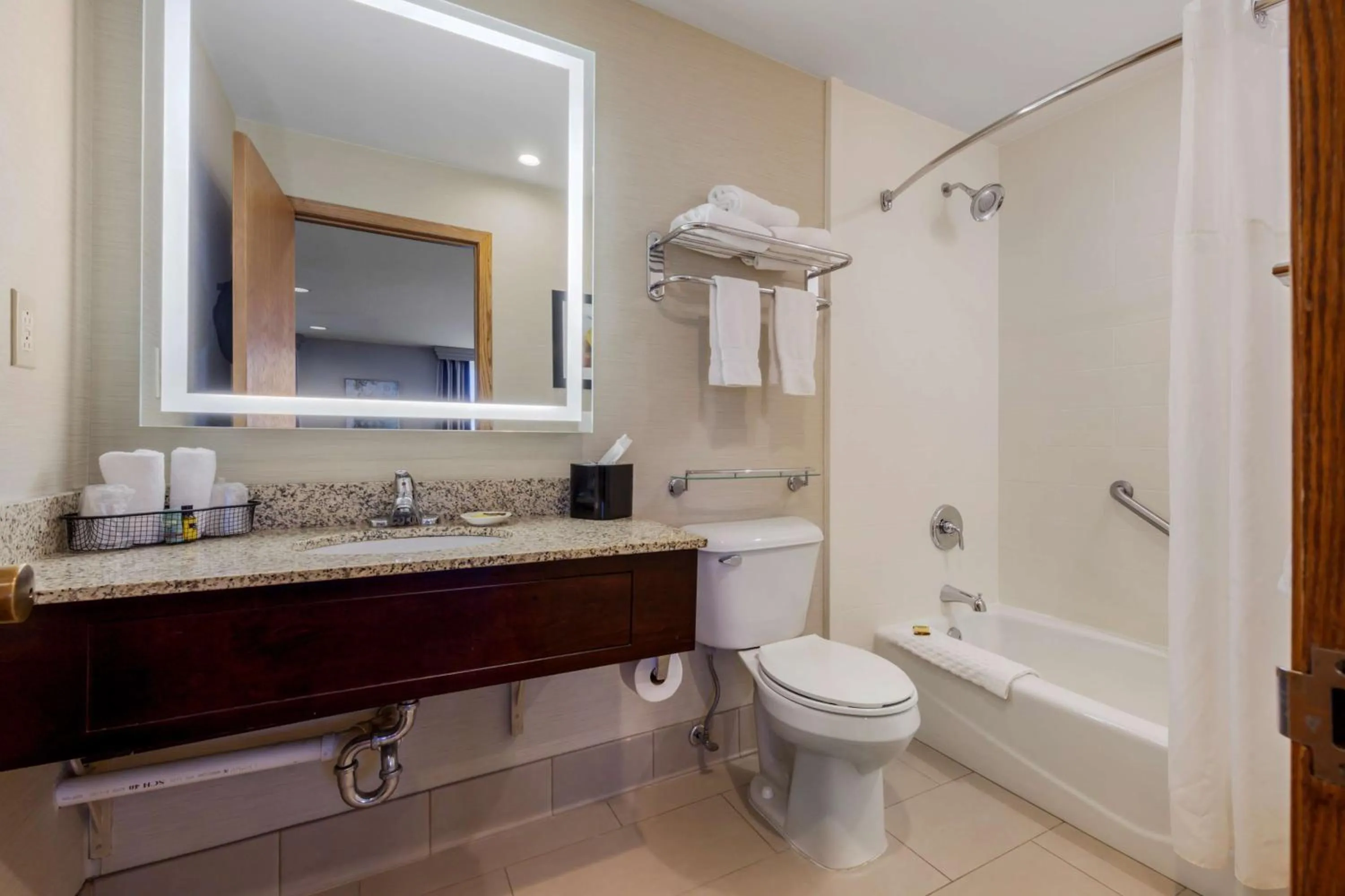 Bathroom in Best Western Plus Dubuque Hotel and Conference Center