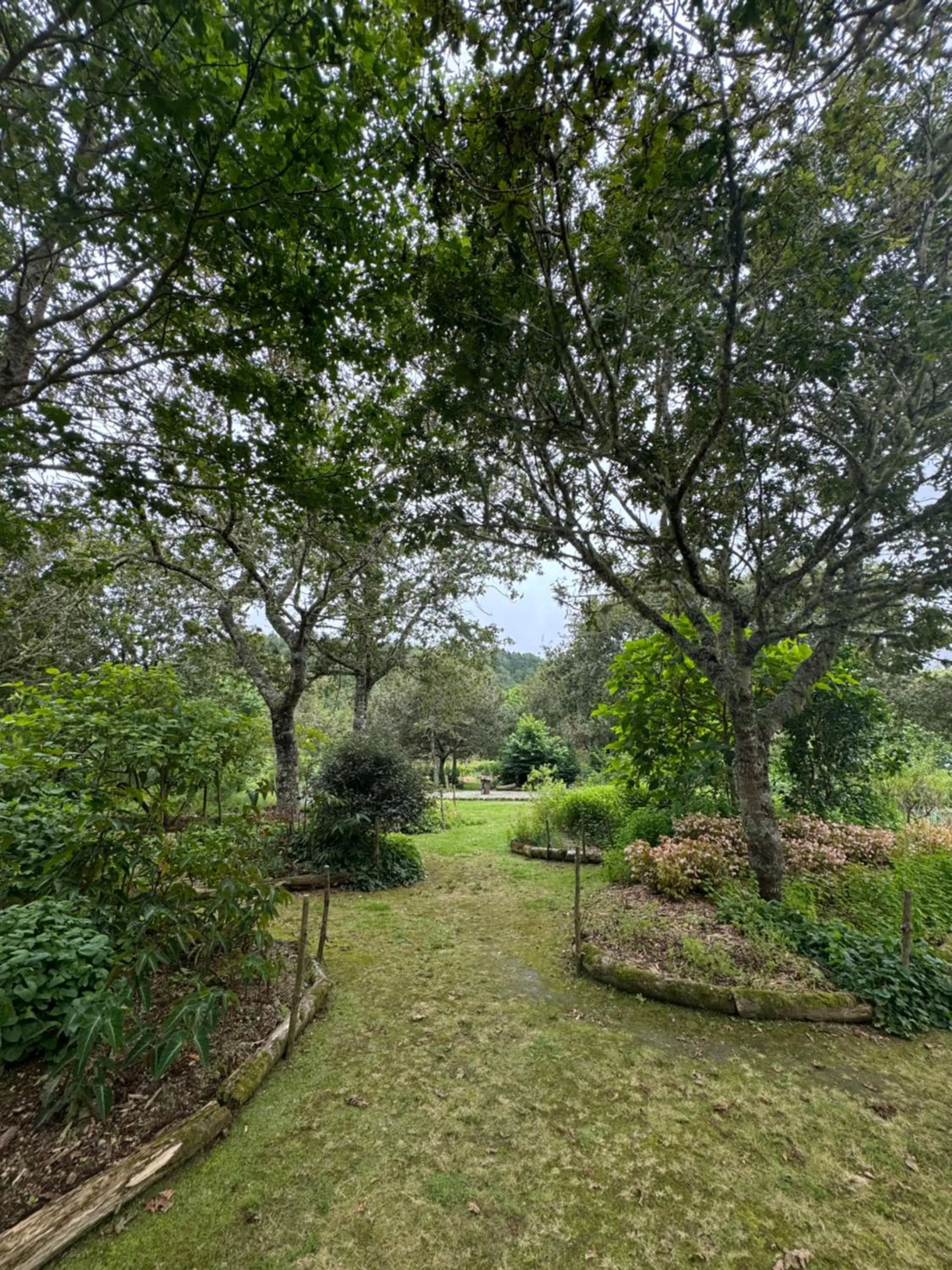 Natural landscape in Furnas Lake Forest Living