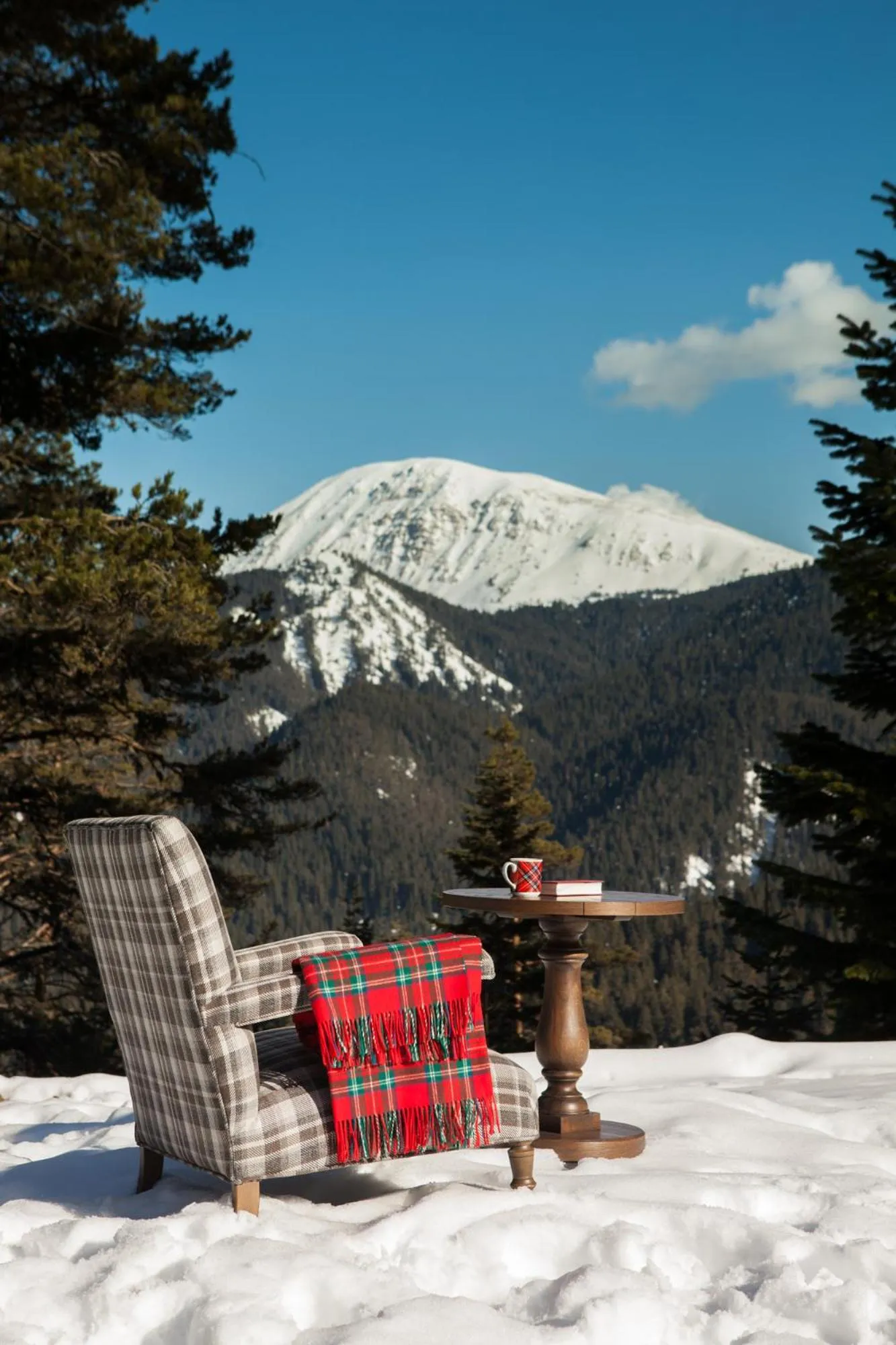 Natural landscape in Ilgaz Mountain Resort Hotel