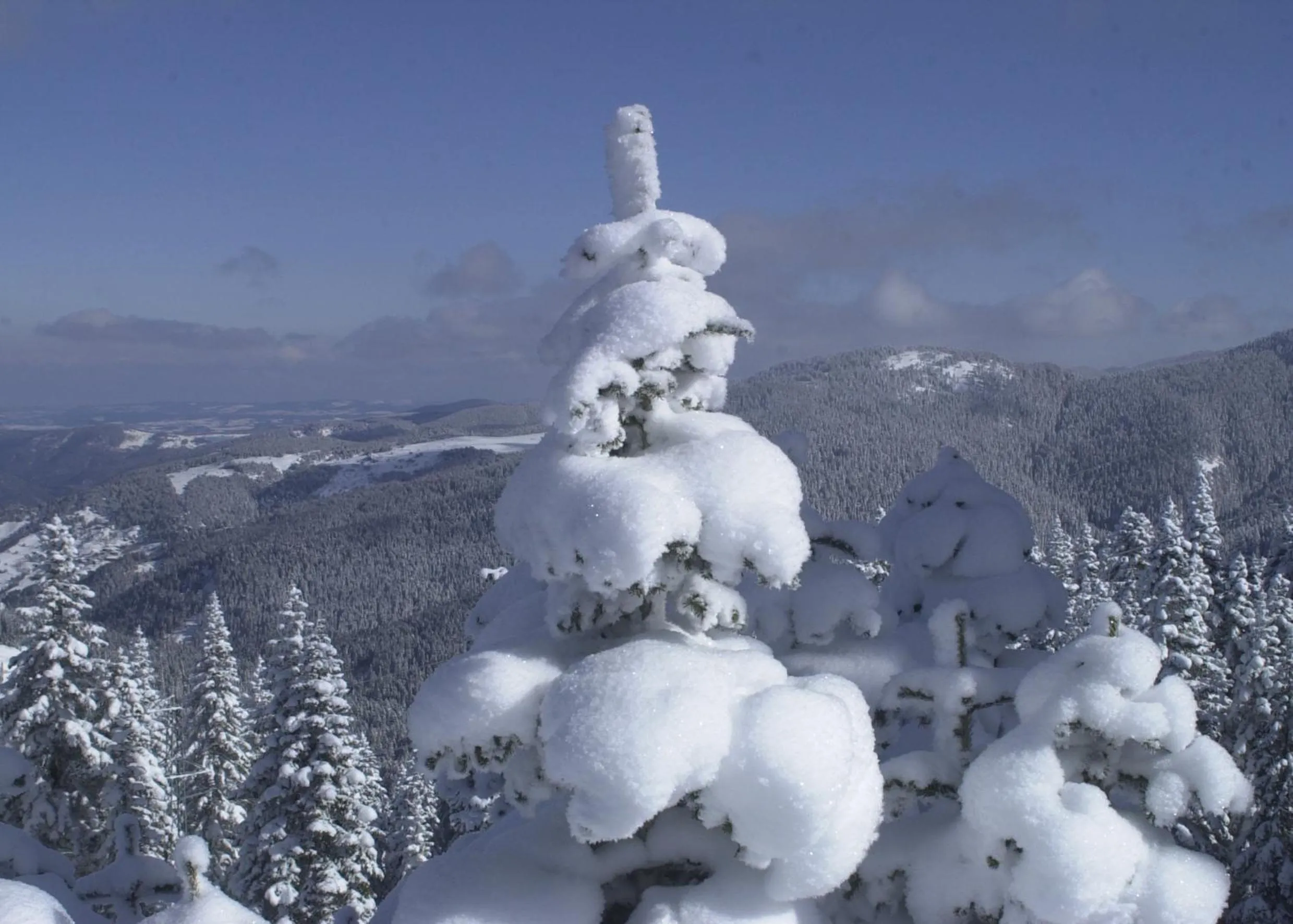 Decorative detail in Ilgaz Mountain Resort Hotel