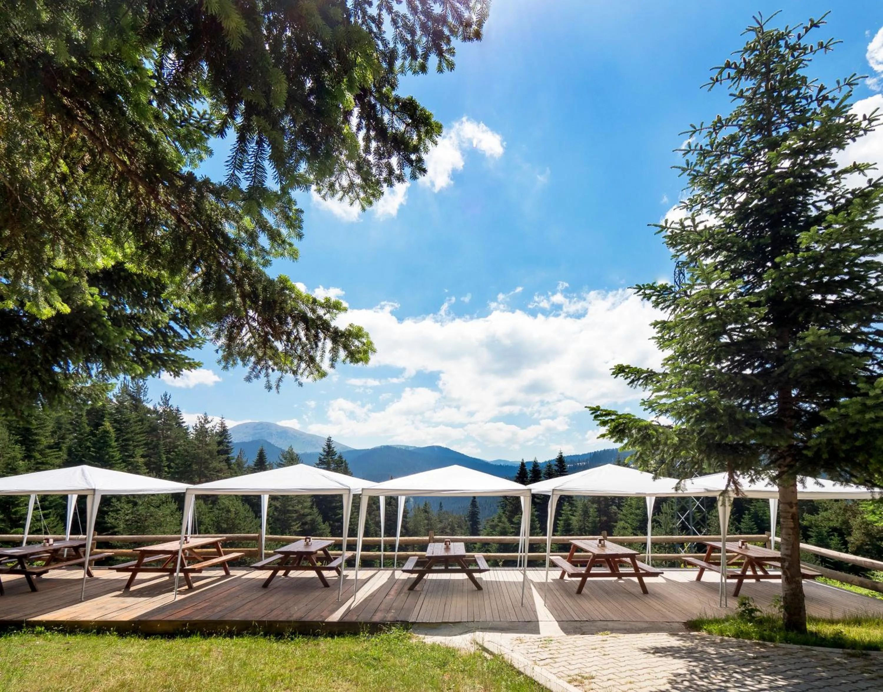 Mountain view in Ilgaz Mountain Resort Hotel