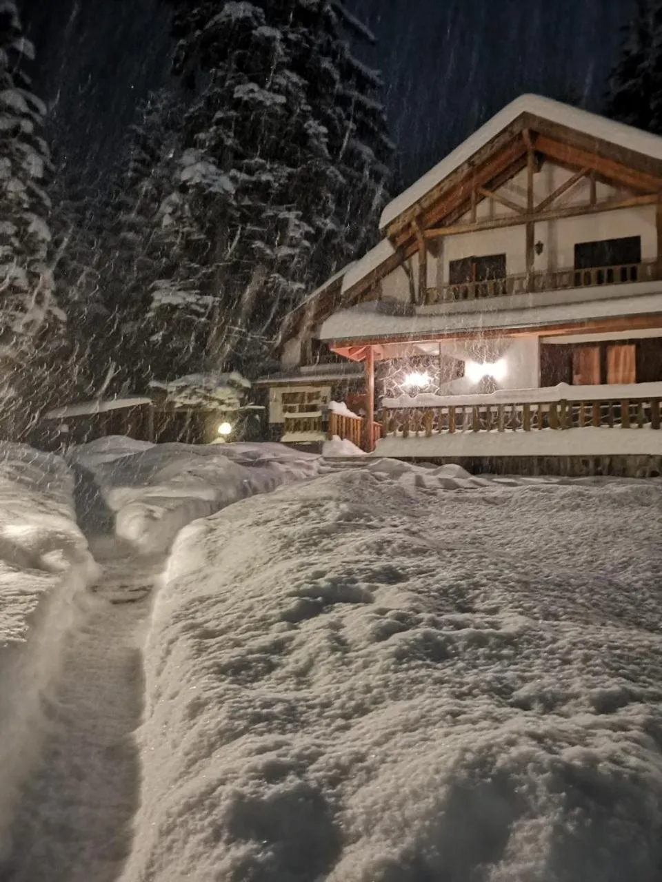 Saint George Borovets Hotel