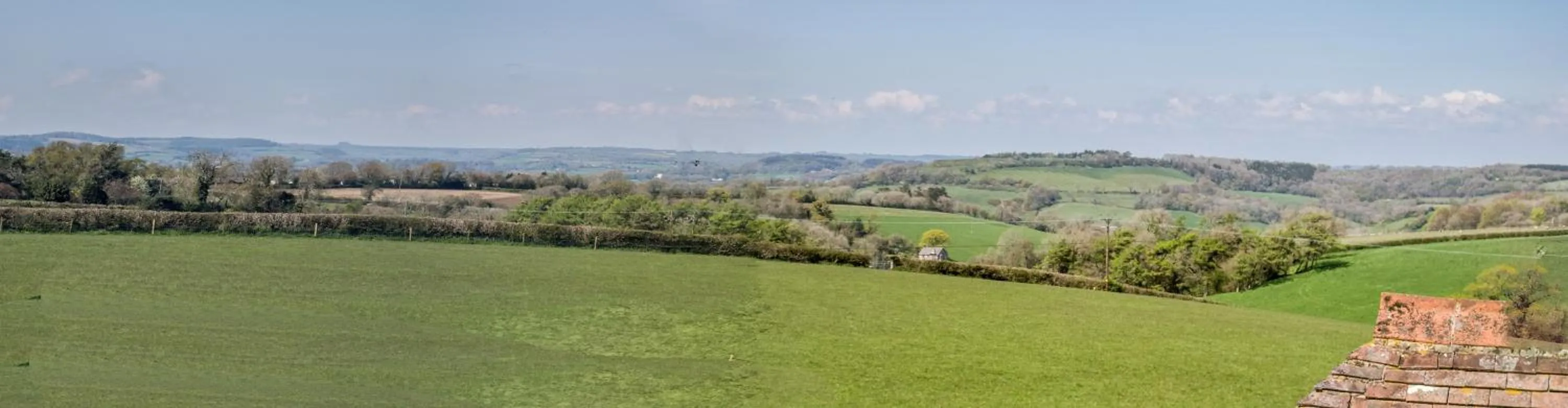 View (from property/room) in Dower House Hotel