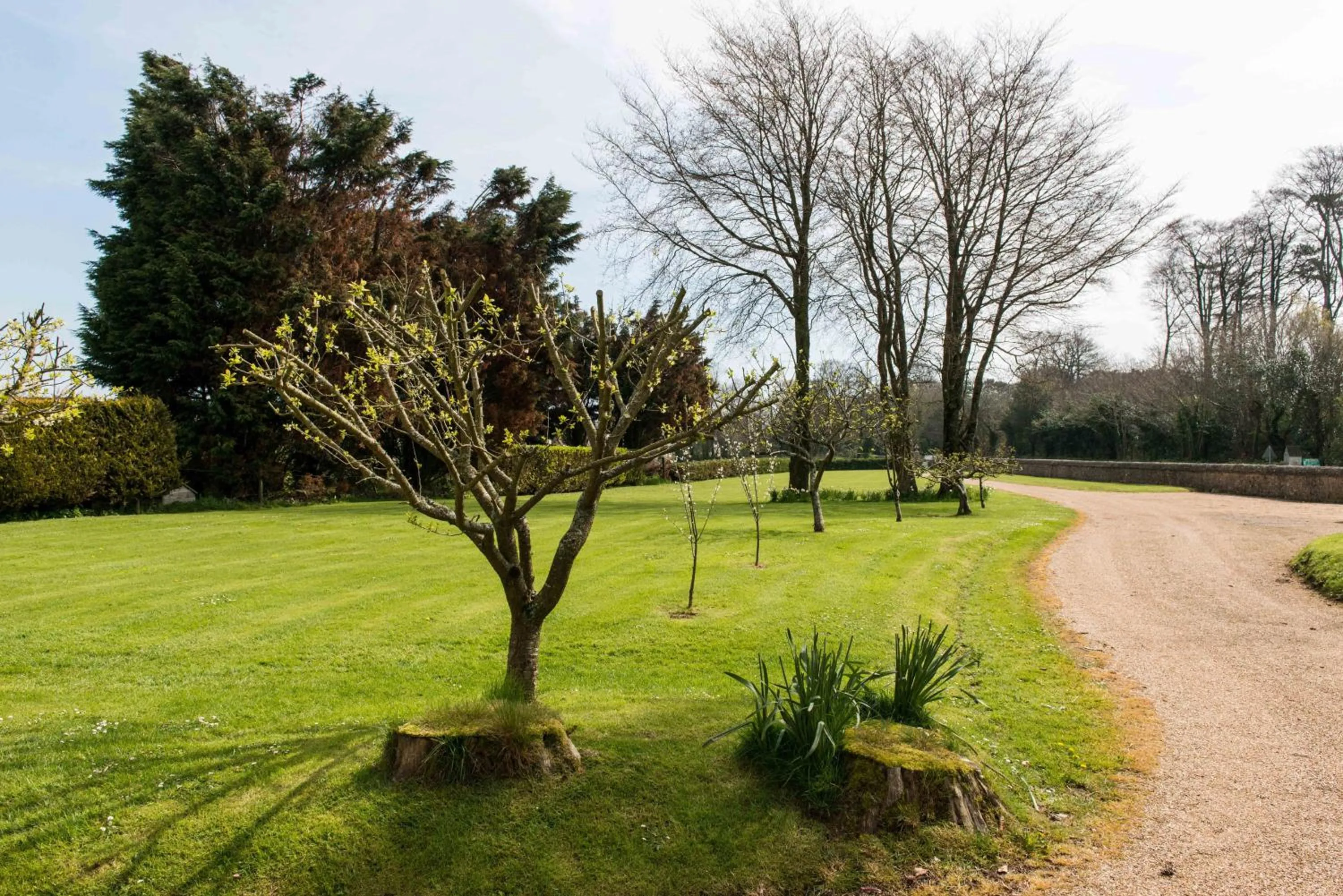 Garden view in Dower House Hotel