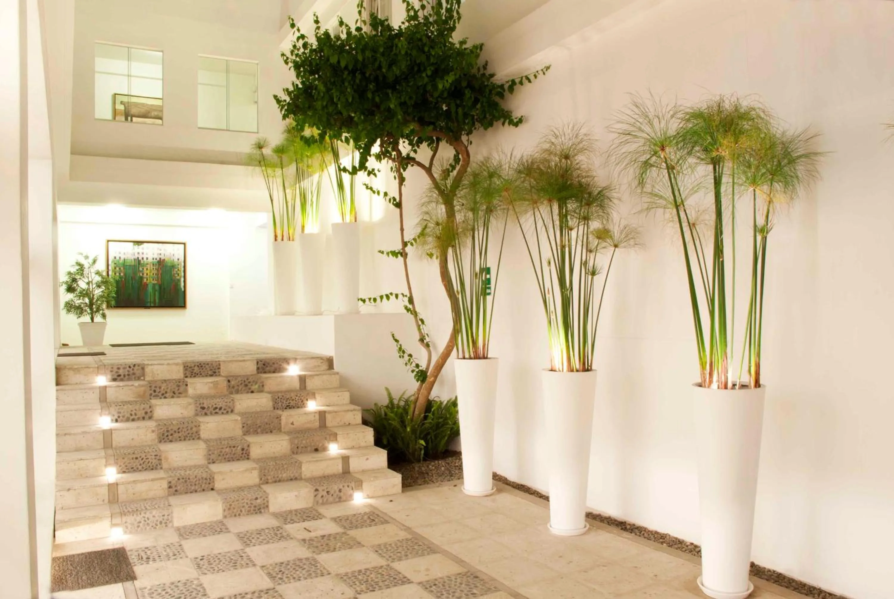 Other in Tierra Viva Arequipa Plaza