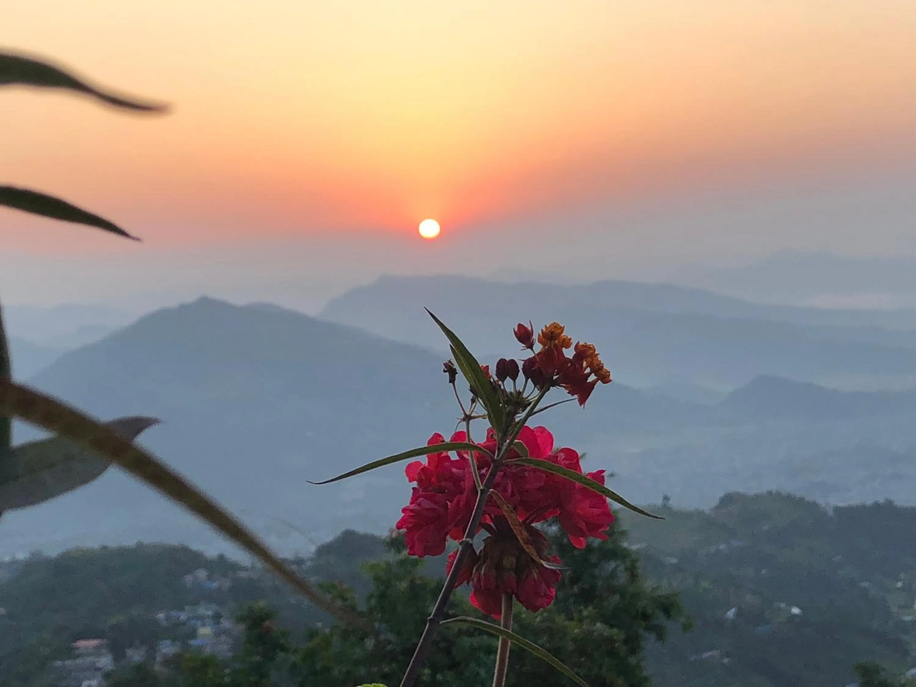 Hotel Pristine Himalaya
