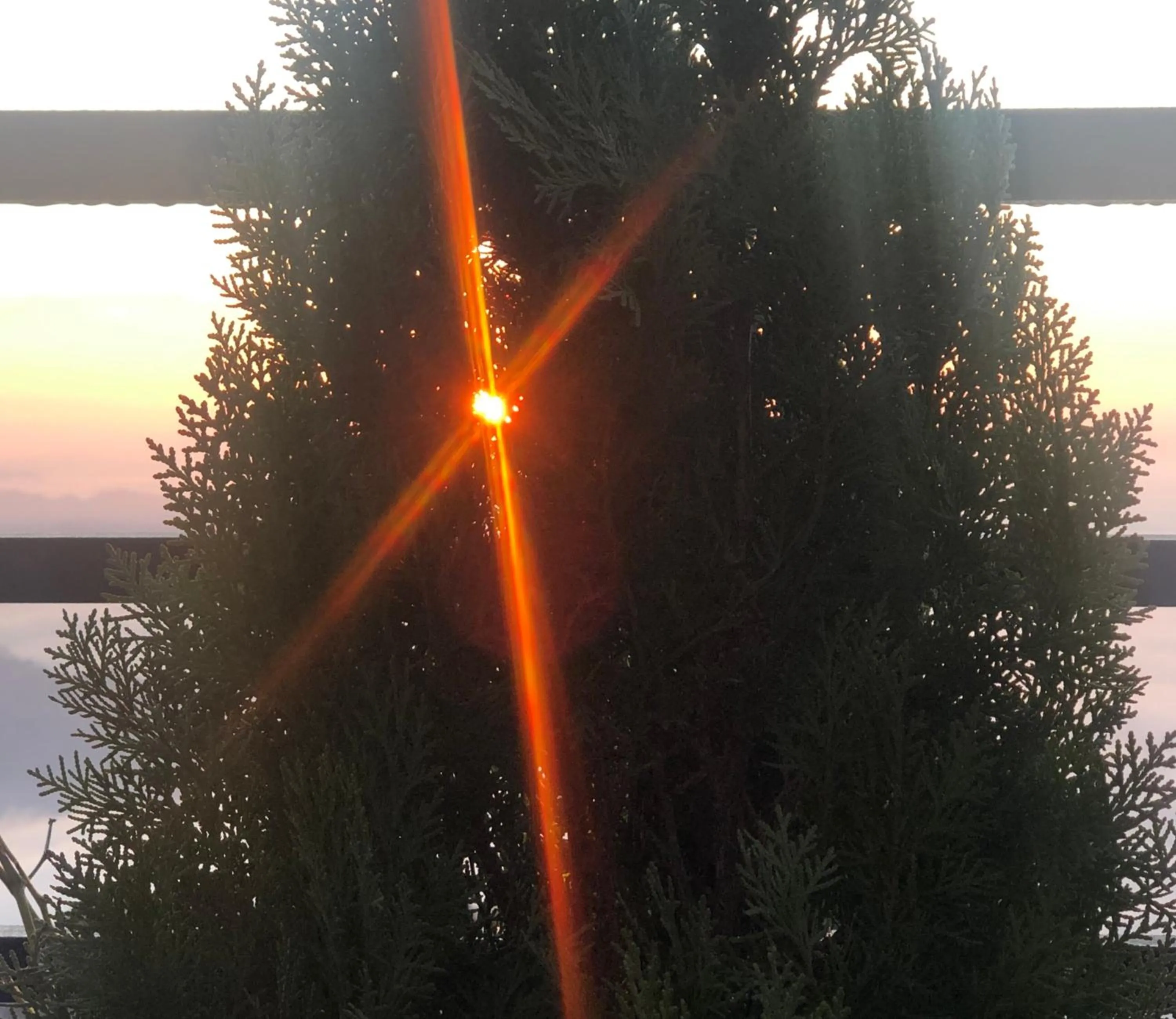 Hotel Pristine Himalaya