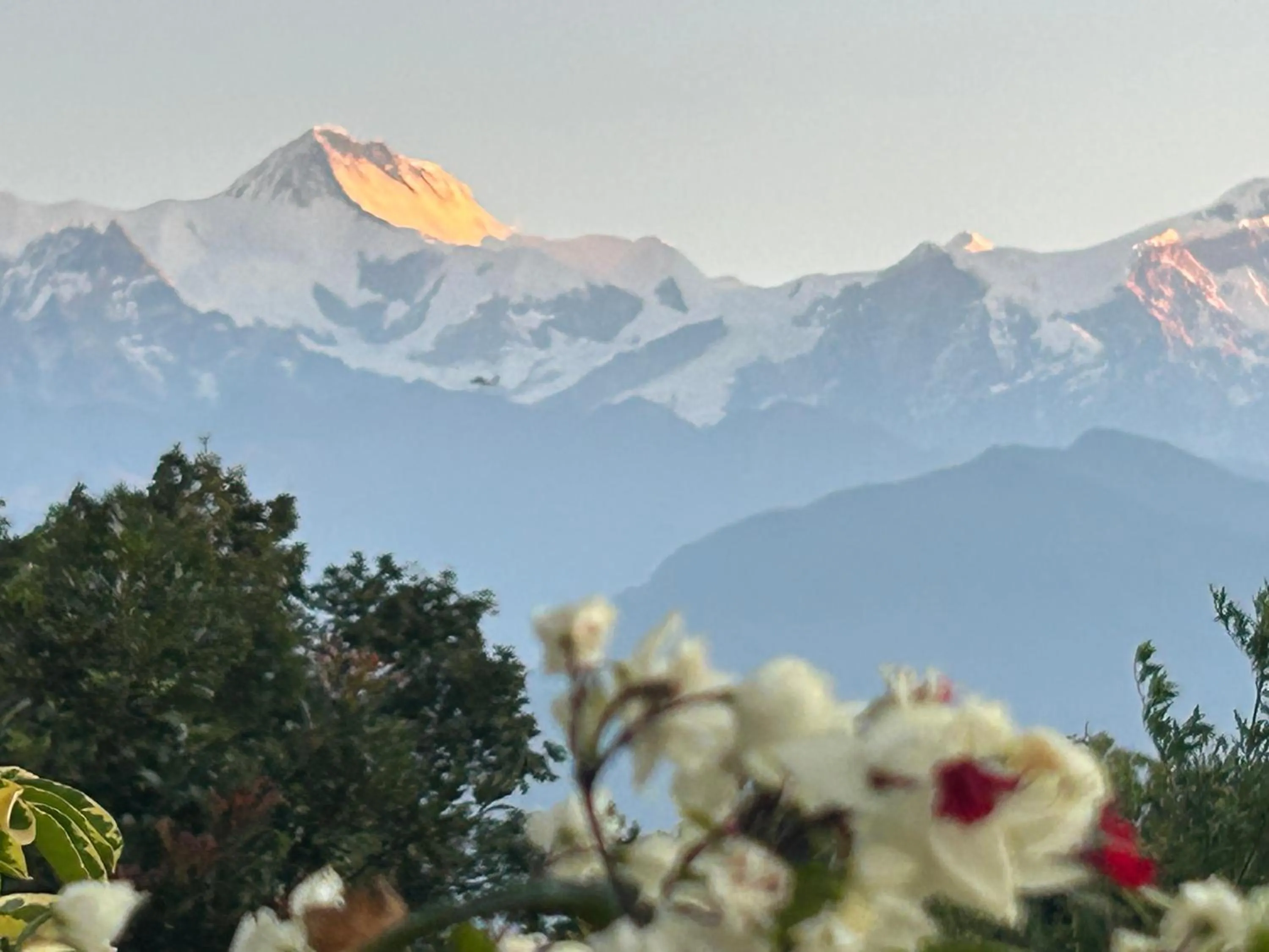 Hotel Pristine Himalaya