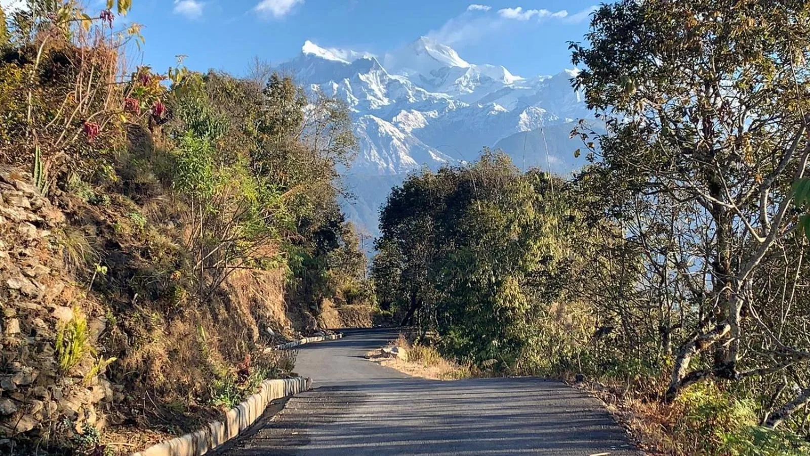 Hotel Pristine Himalaya