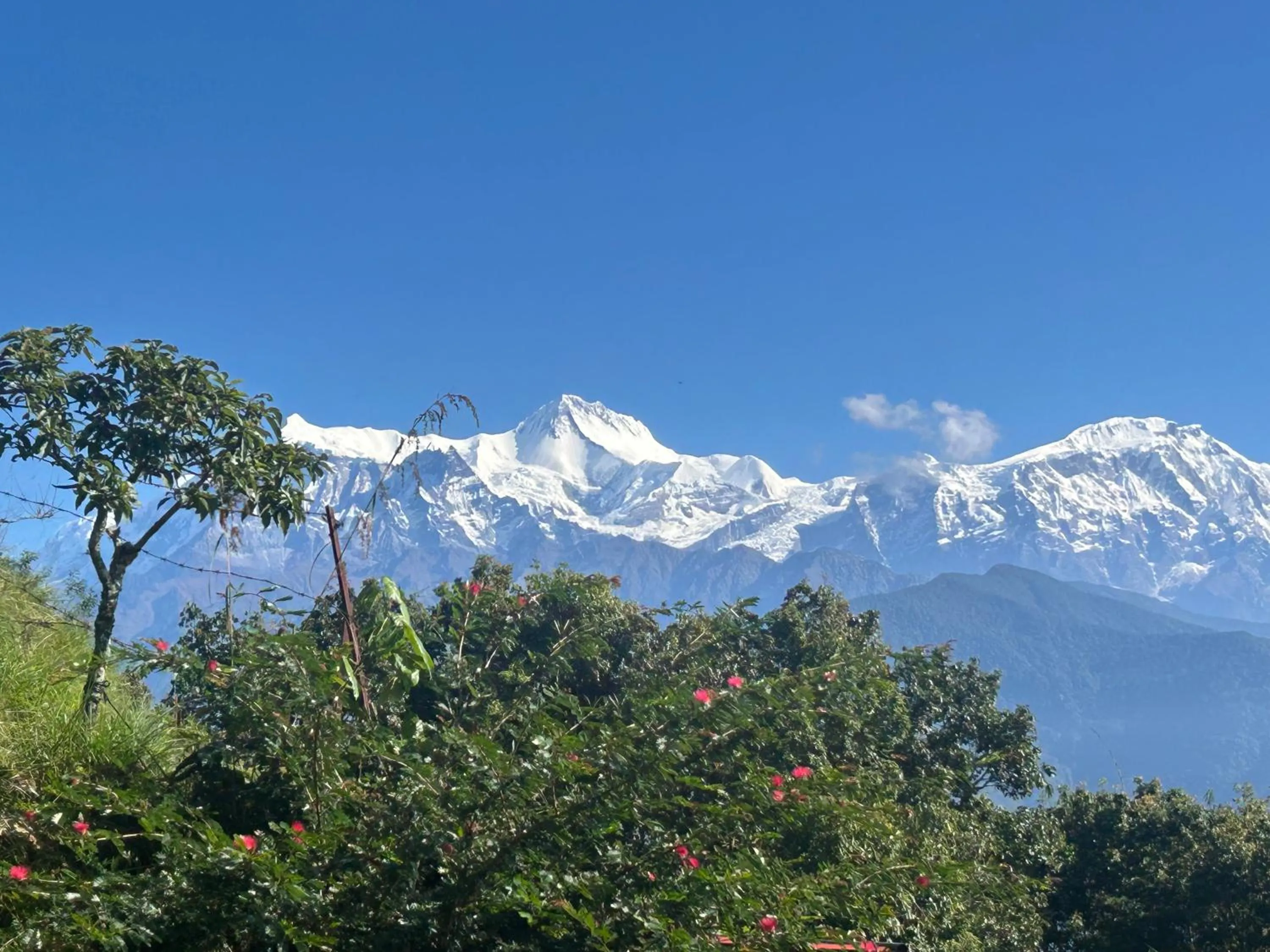 Property building in Hotel Pristine Himalaya