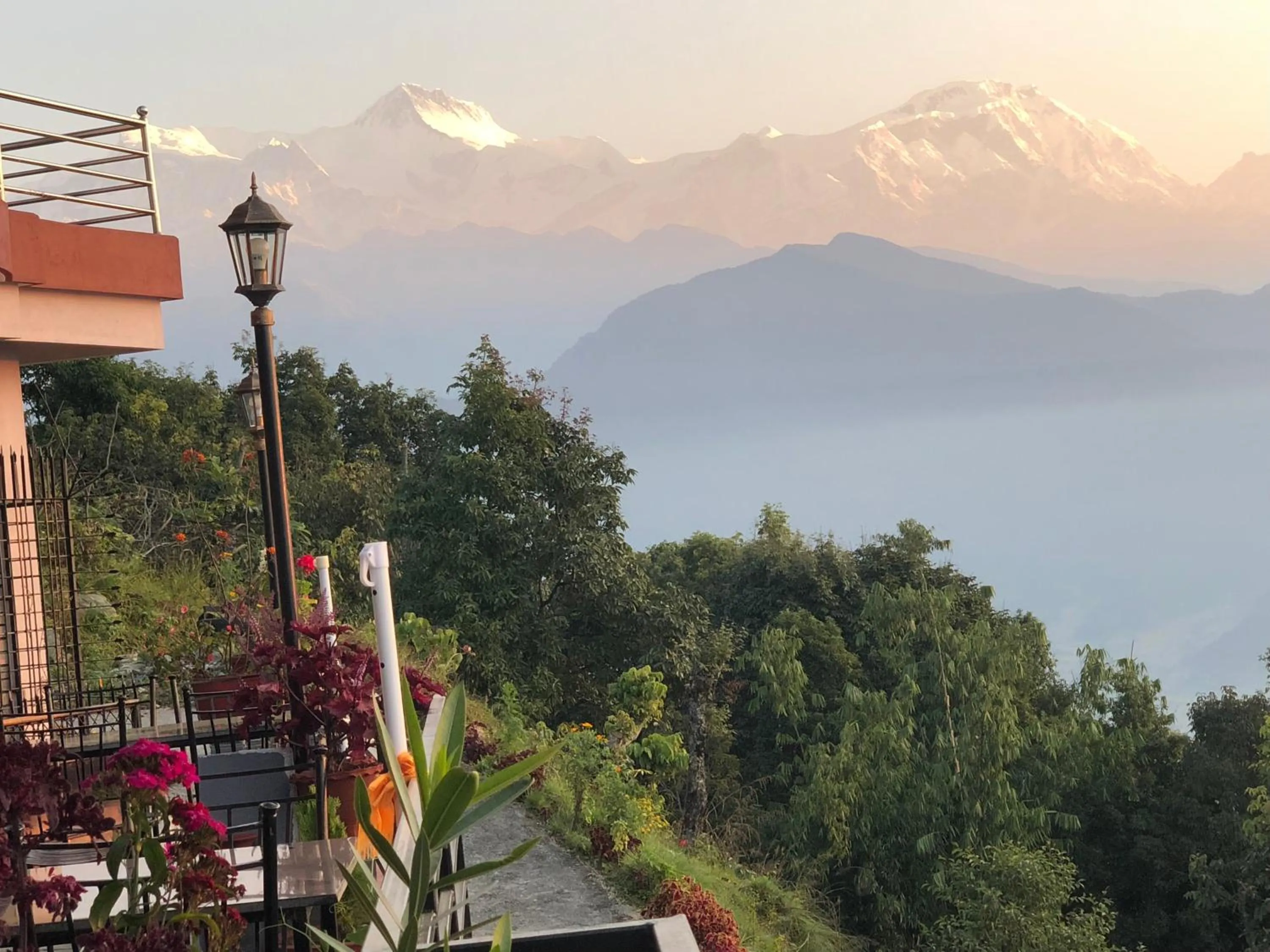 Hotel Pristine Himalaya