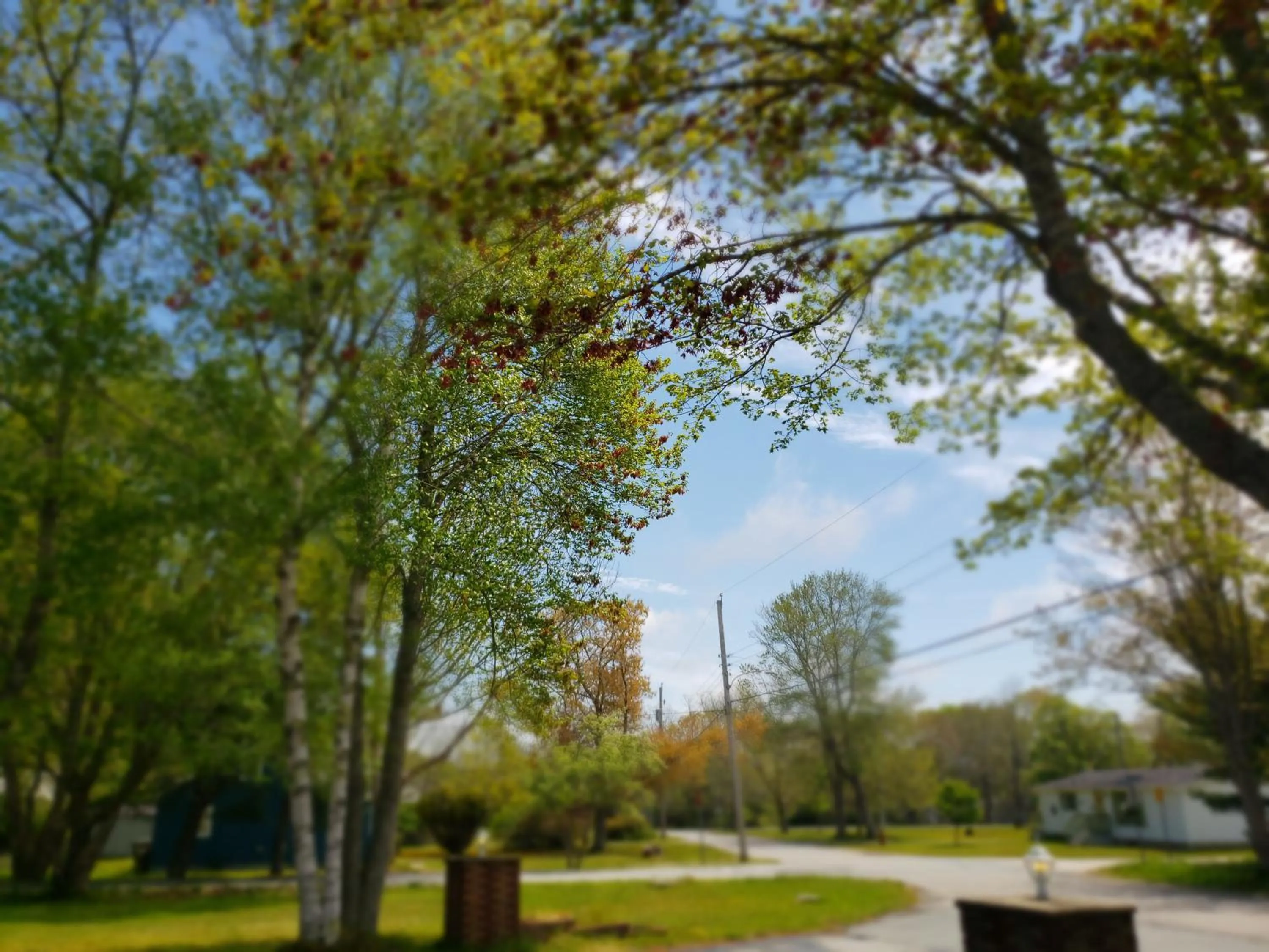 Property building in Wildwood Motel