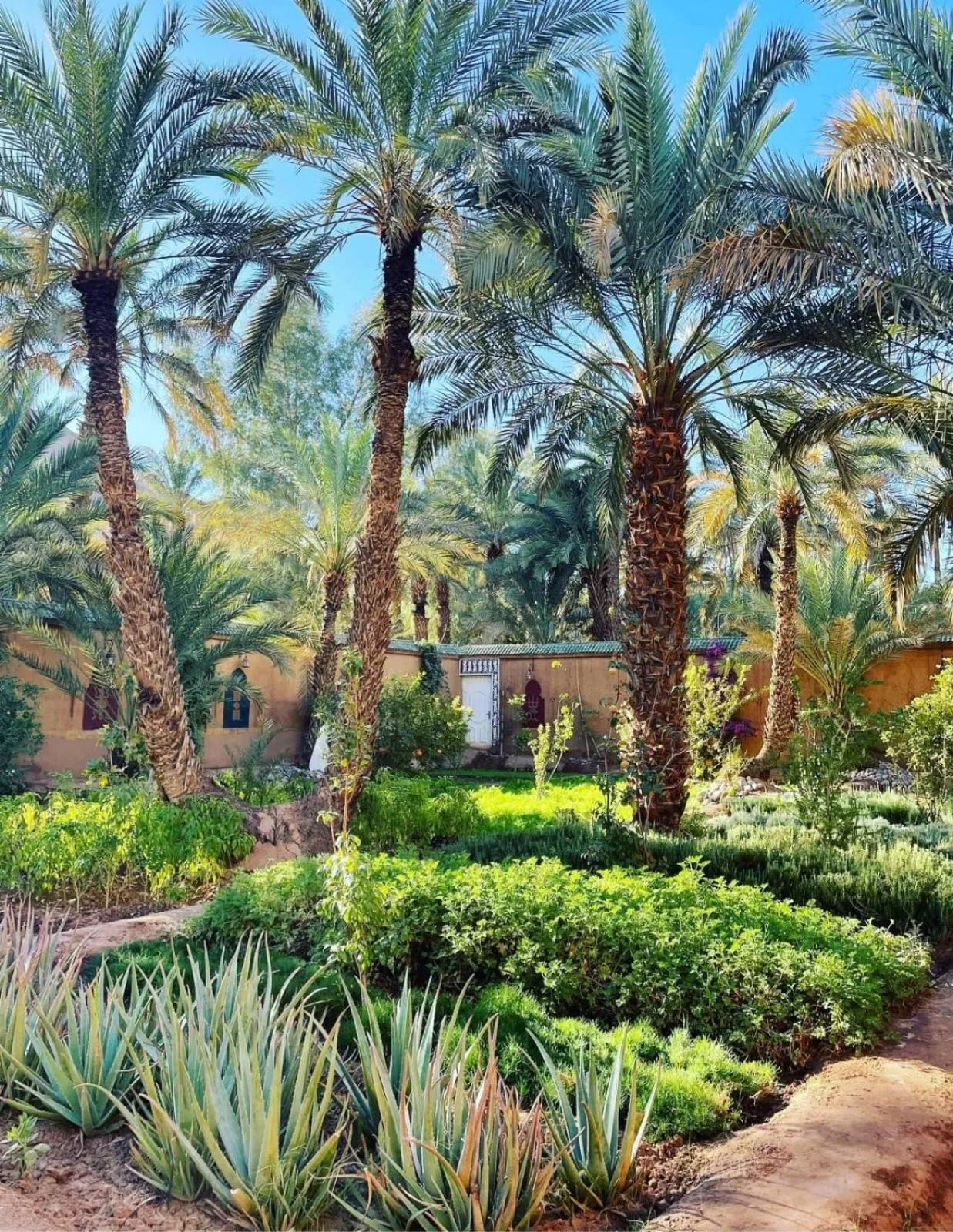 Property building in Riad Dar Sofian