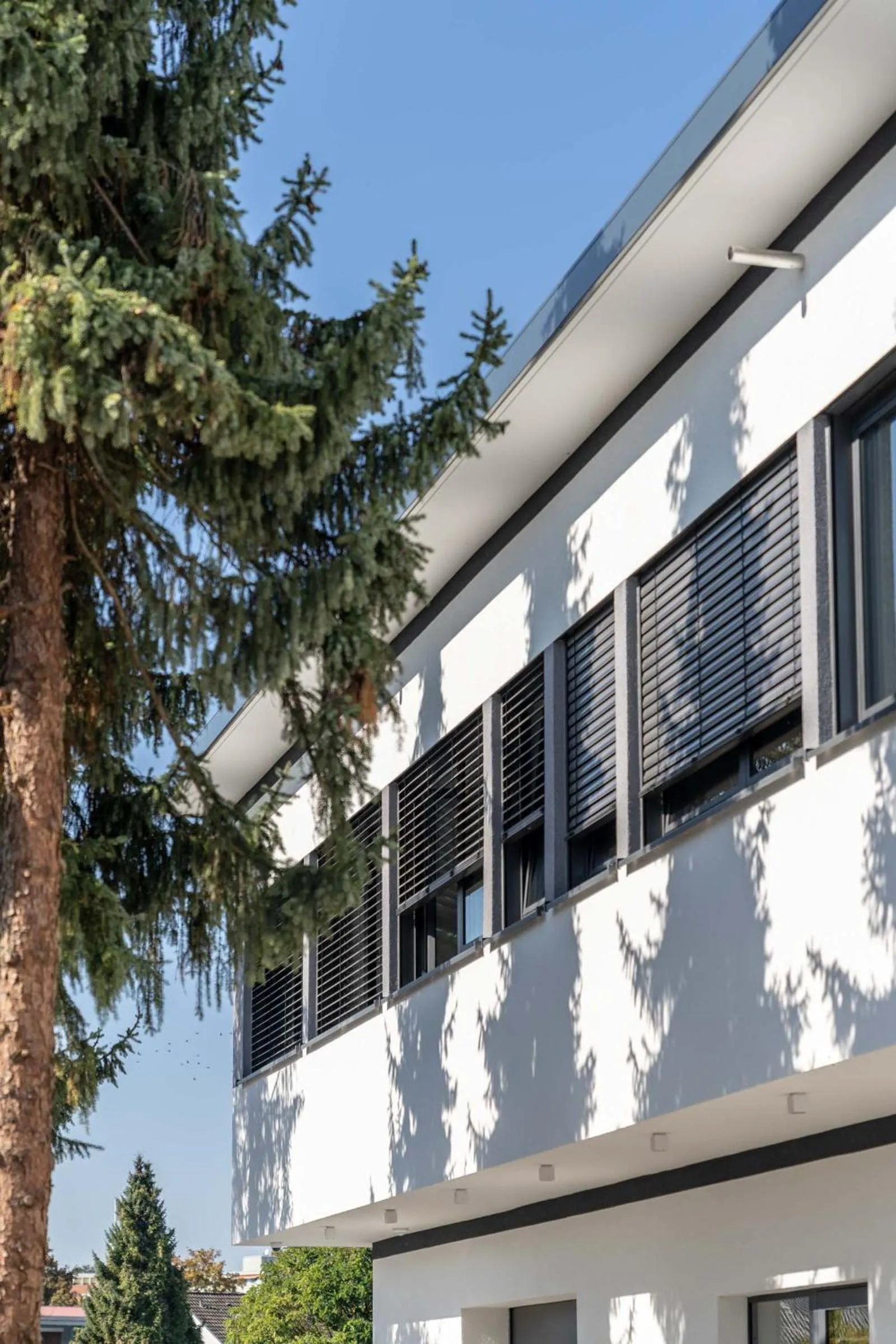 Facade/entrance in Hotel Lumi