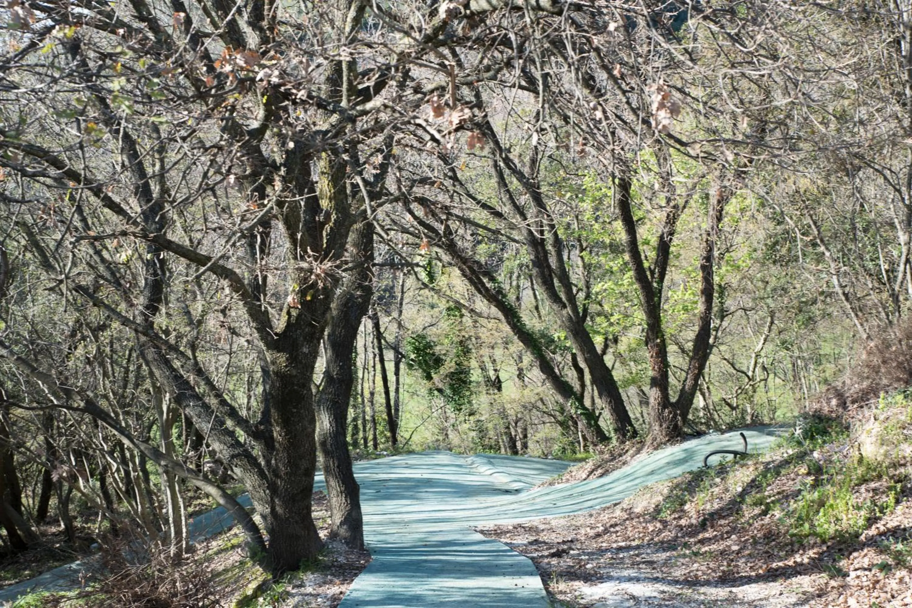 Natural landscape in B&B sentiero romantico