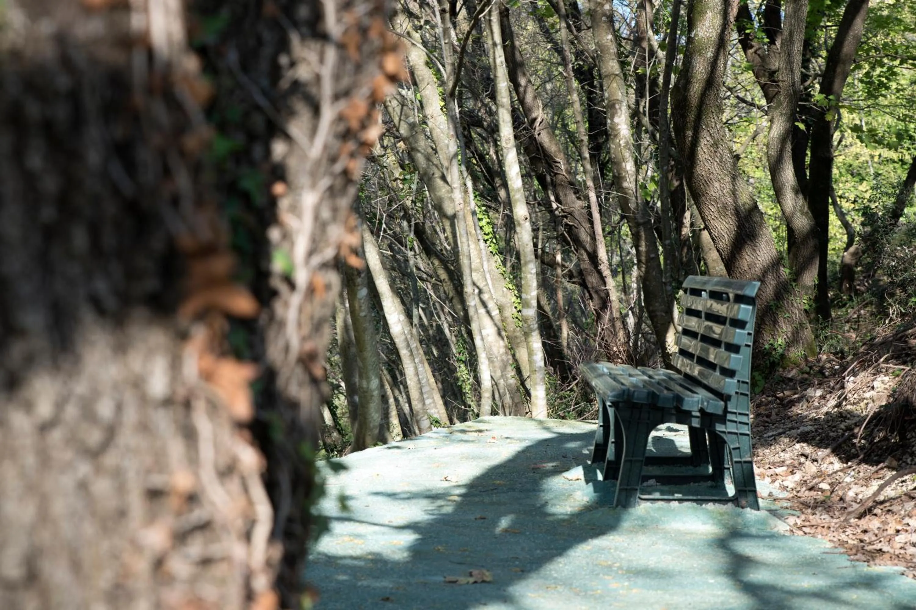 Natural landscape in B&B sentiero romantico