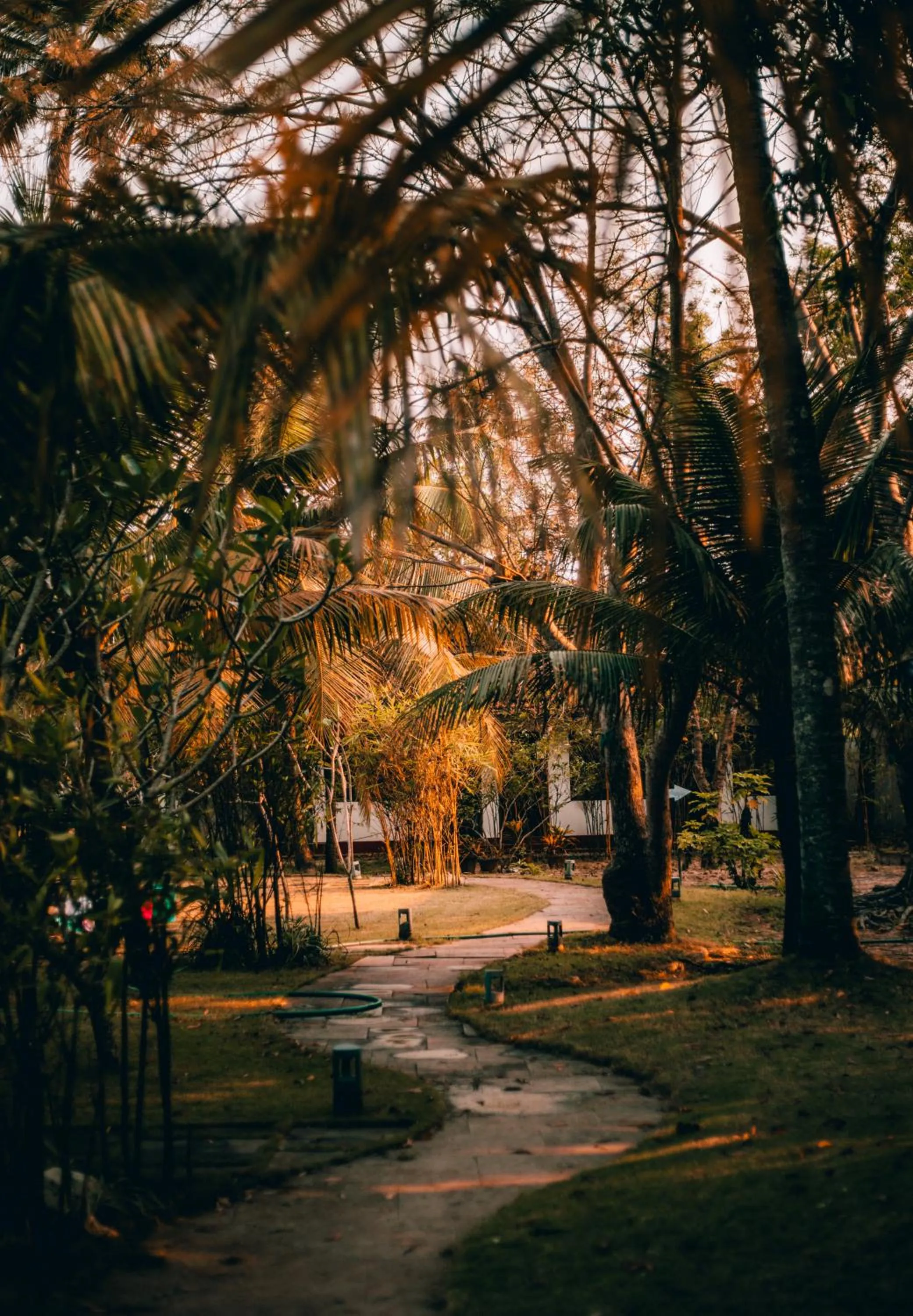 Garden in Seclude Kerala, Marari Sands