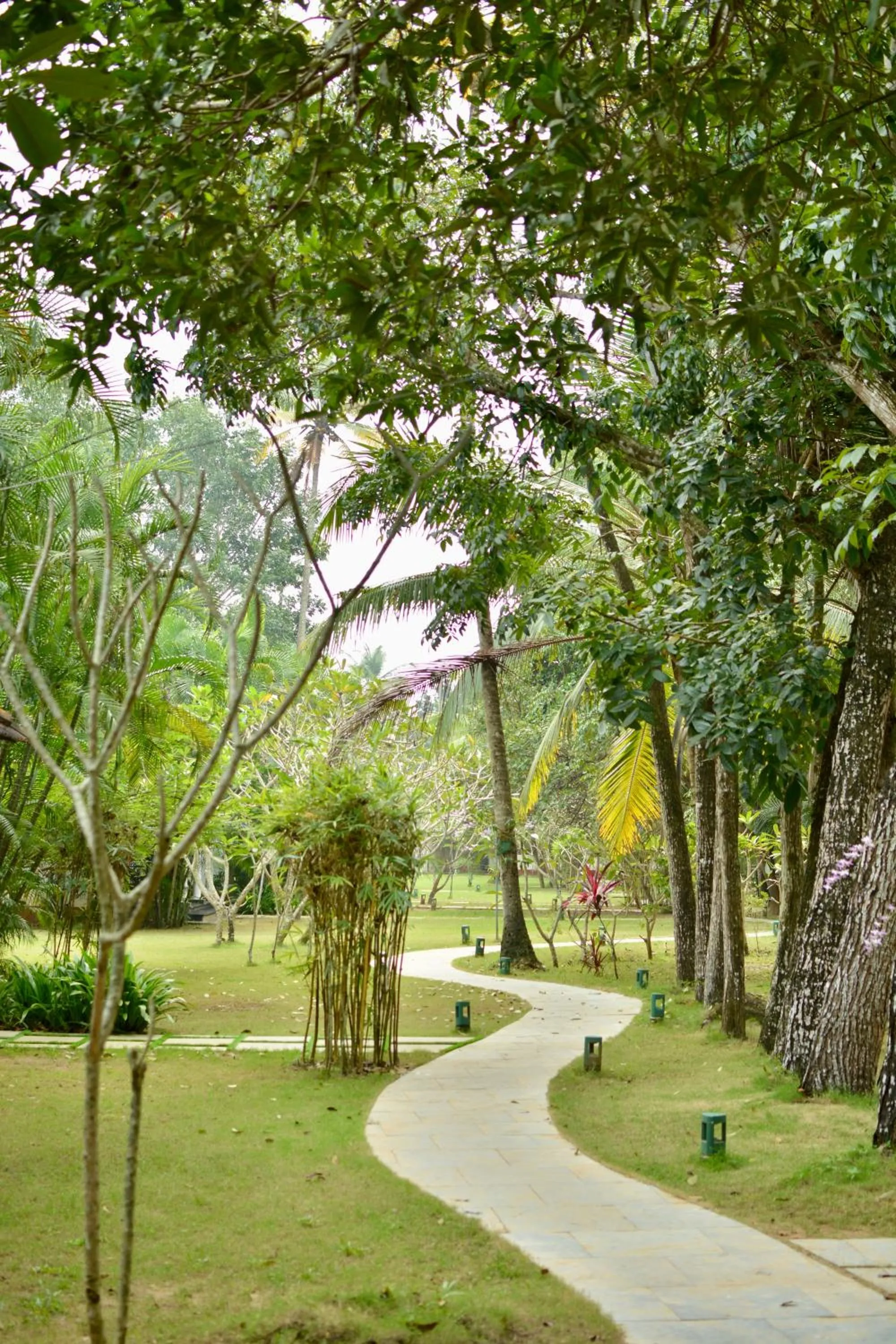 Seclude Kerala, Marari Sands