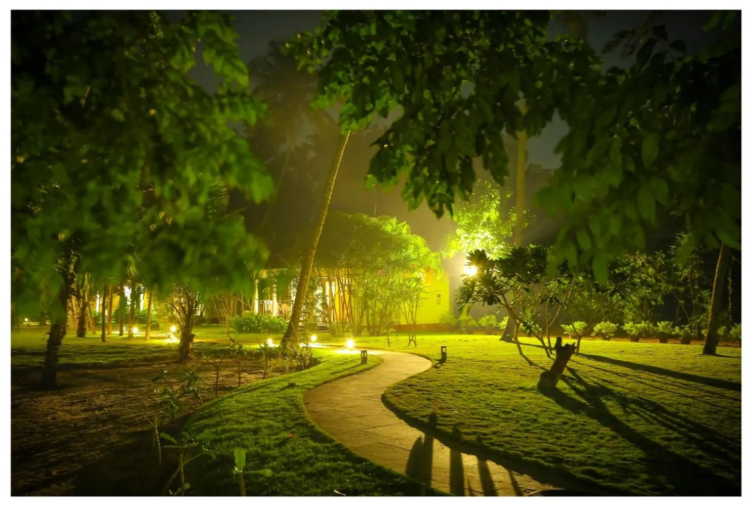 Garden in Seclude Kerala, Marari Sands