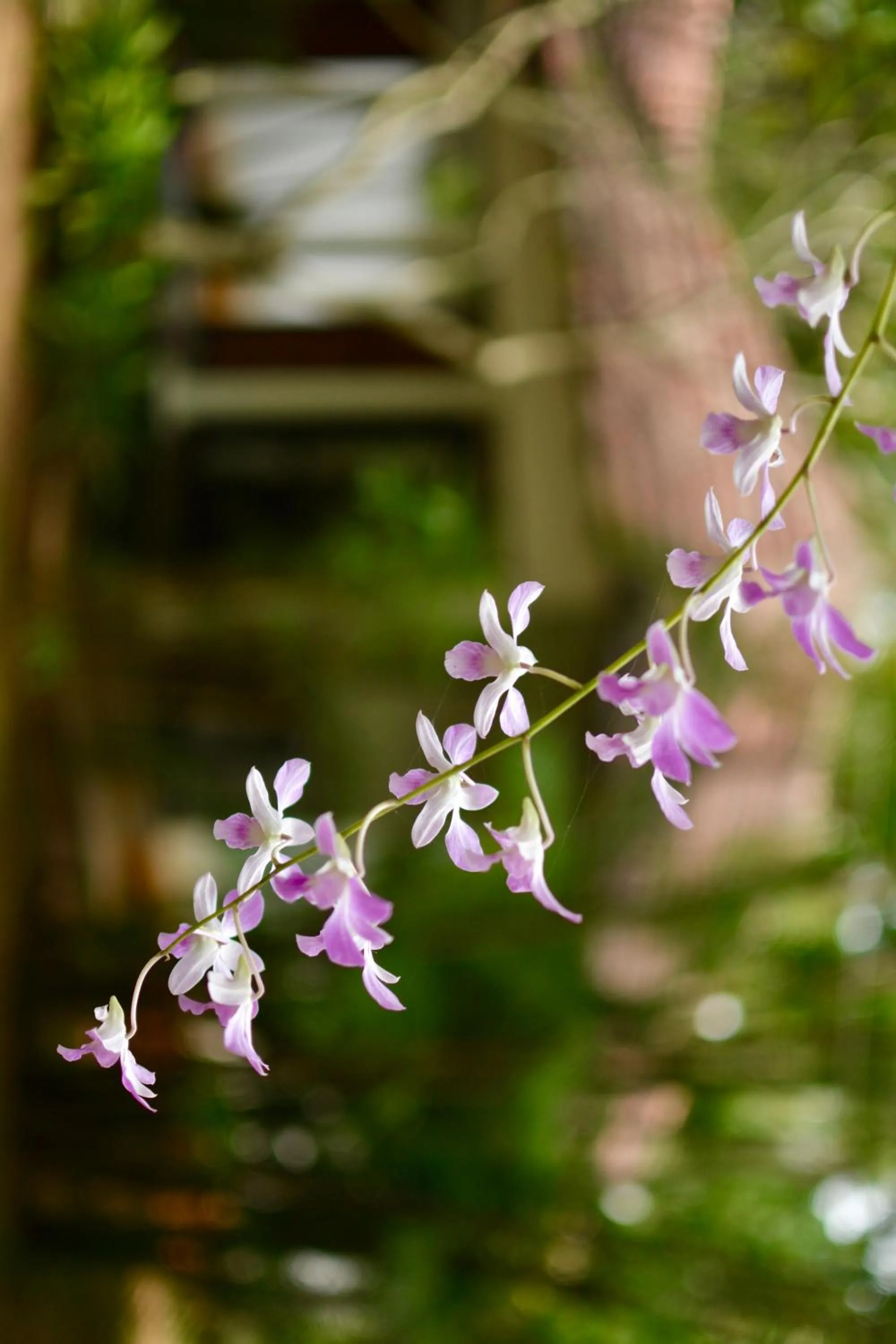 Seclude Kerala, Marari Sands