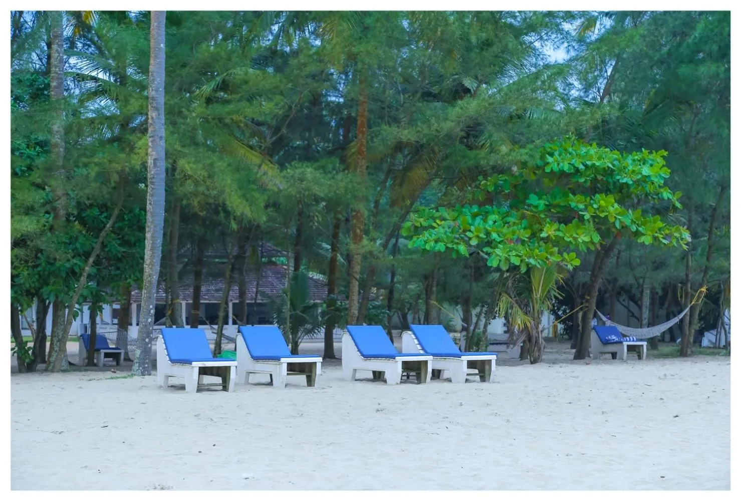 Beach in Seclude Kerala, Marari Sands