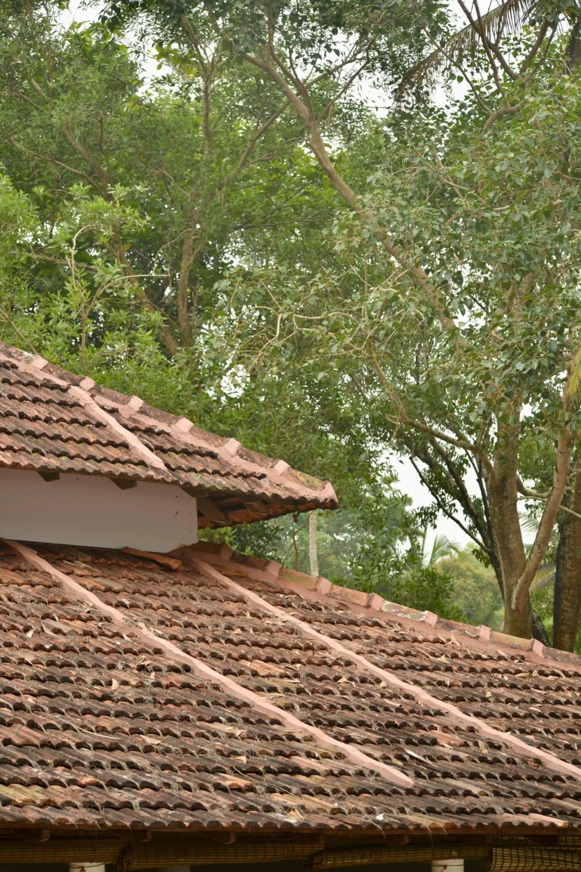 Seclude Kerala, Marari Sands