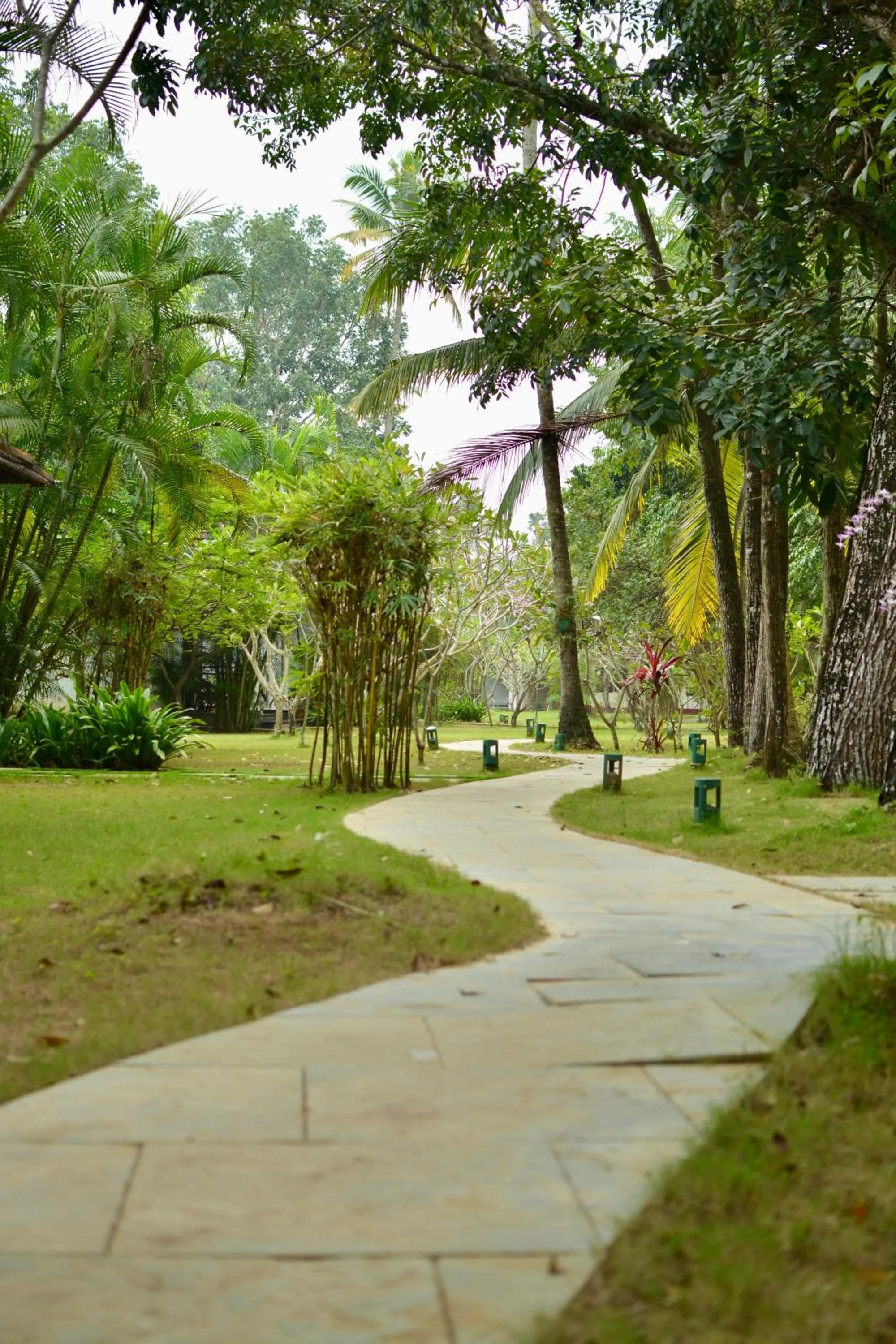 Seclude Kerala, Marari Sands