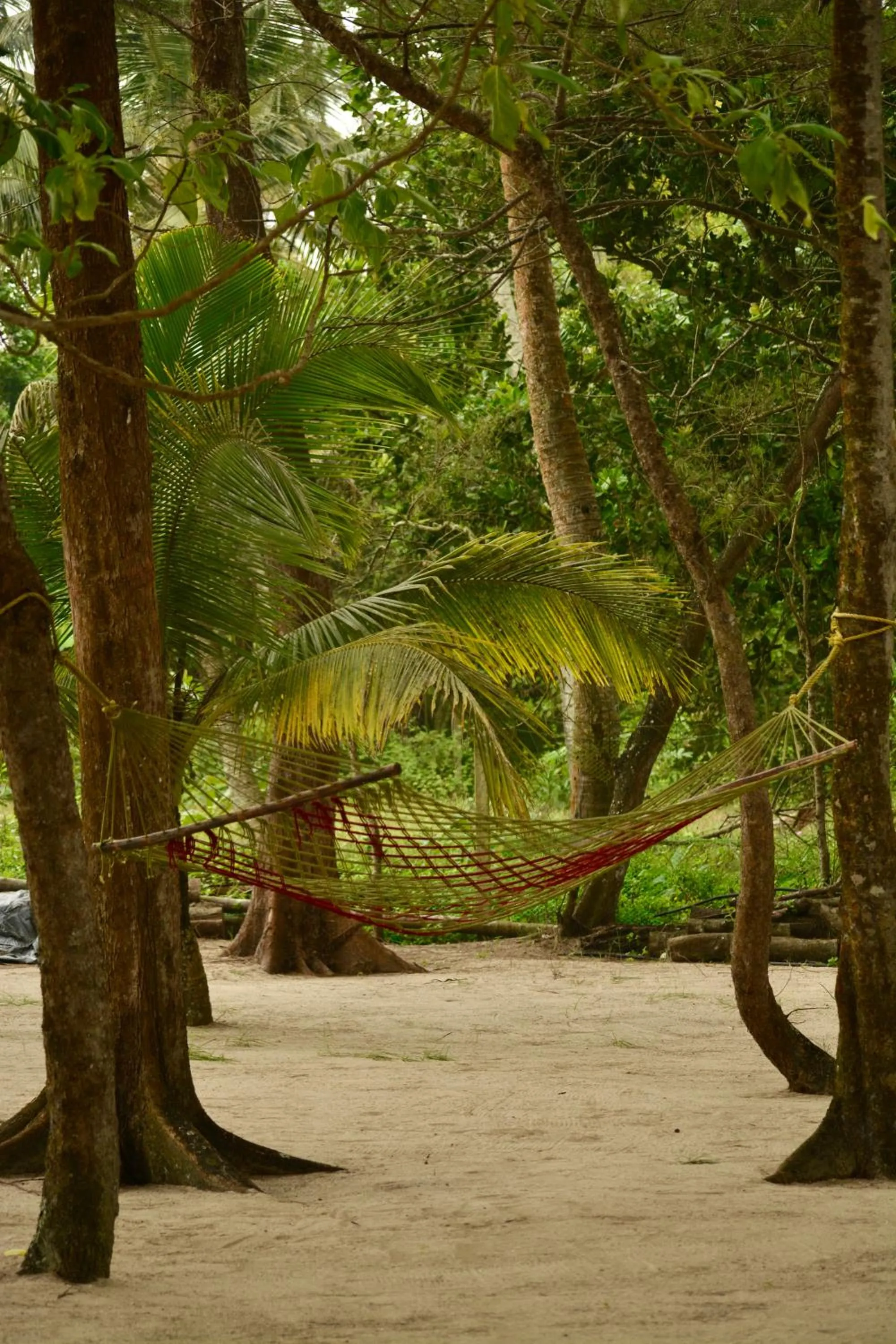 Seclude Kerala, Marari Sands