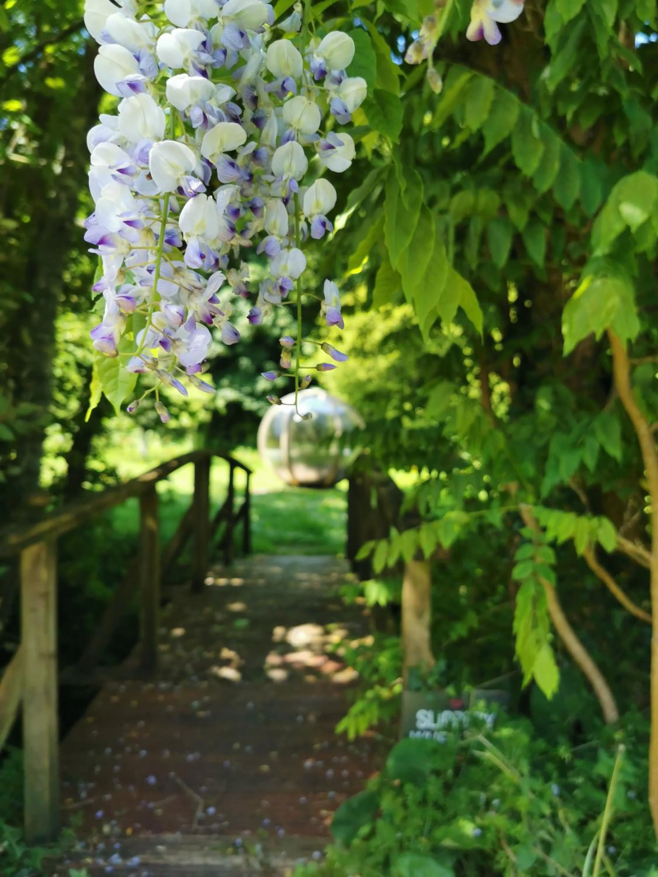 Garden in Rose in Vale Country House Hotel