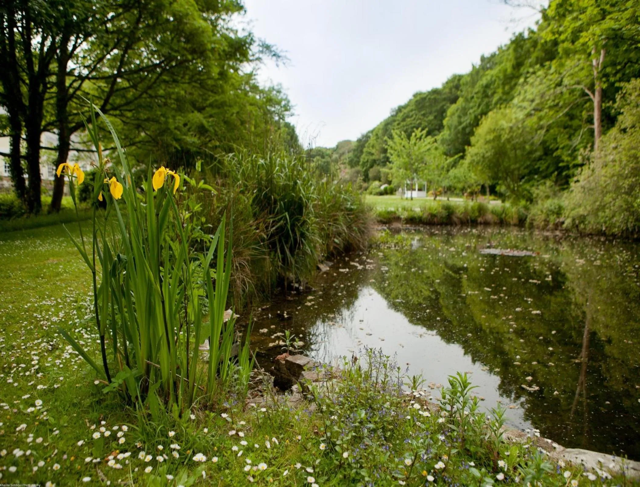 Garden in Rose in Vale Country House Hotel