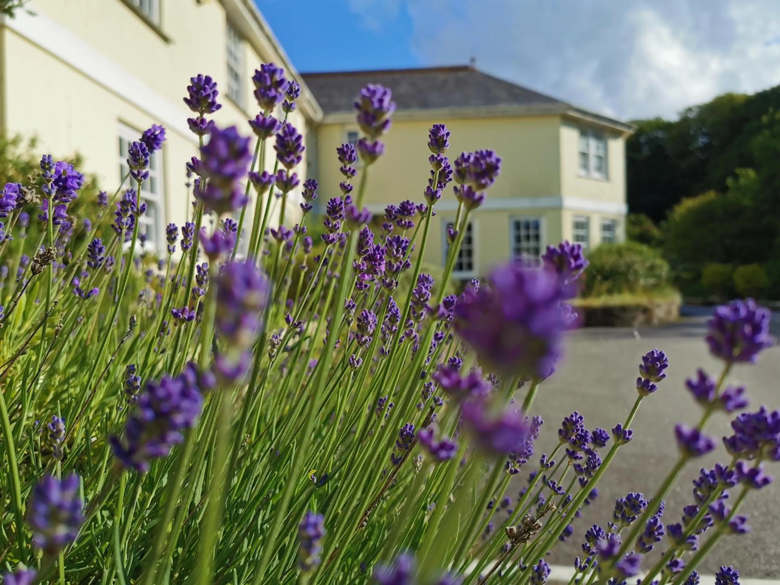 Property building in Rose in Vale Country House Hotel