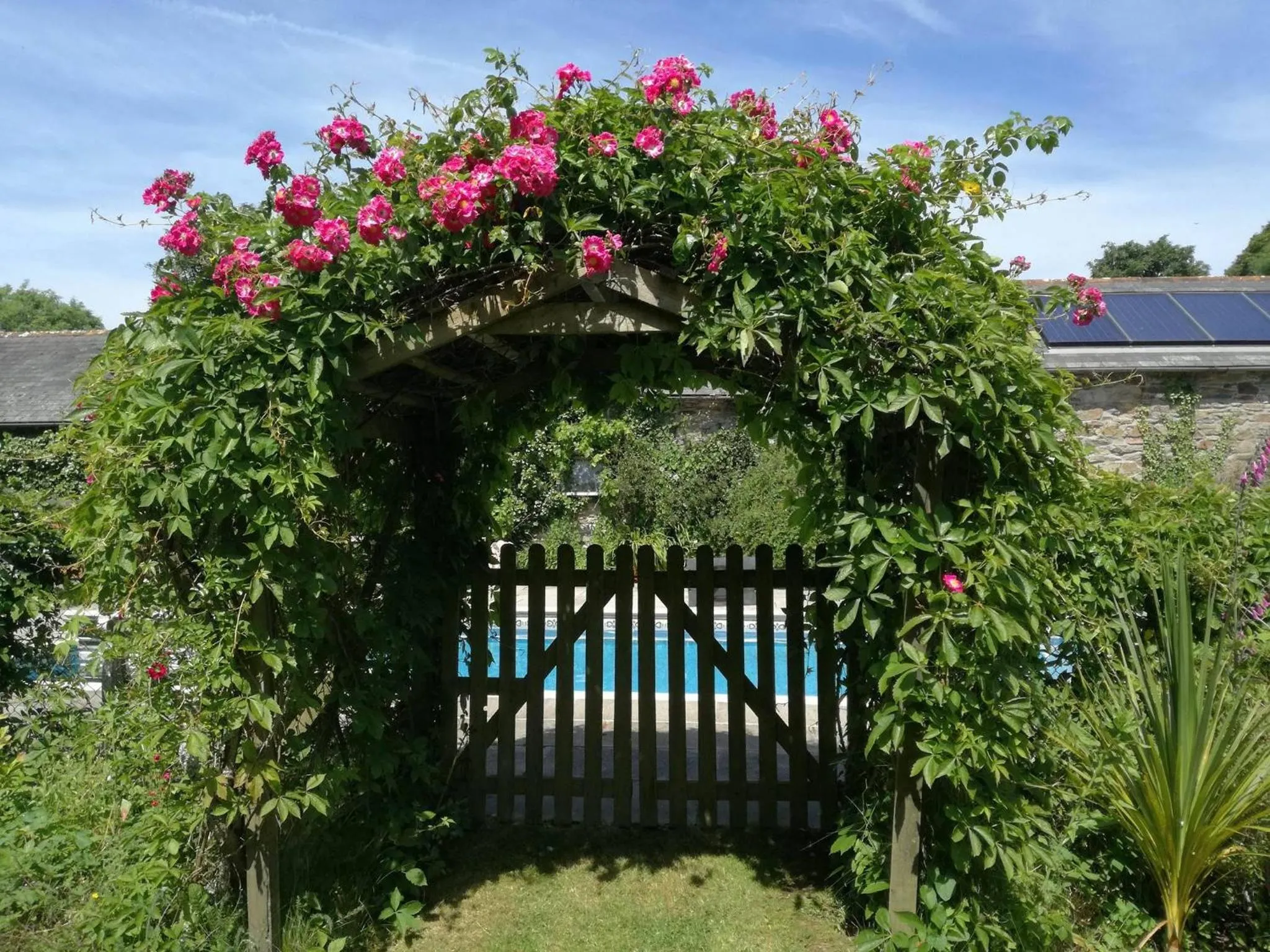 Garden in Rose in Vale Country House Hotel