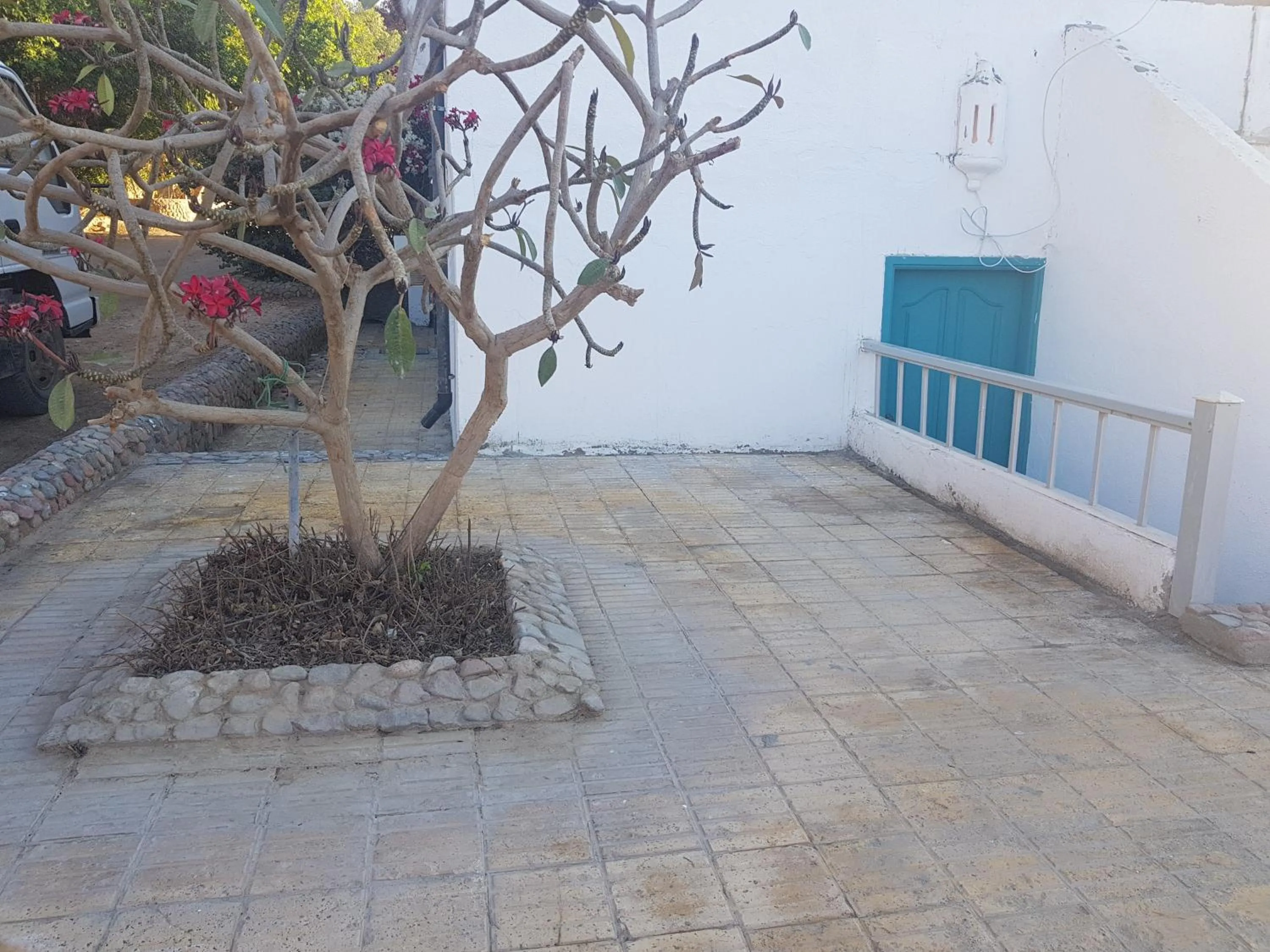 Facade/entrance in Lilly Rooms and Studio