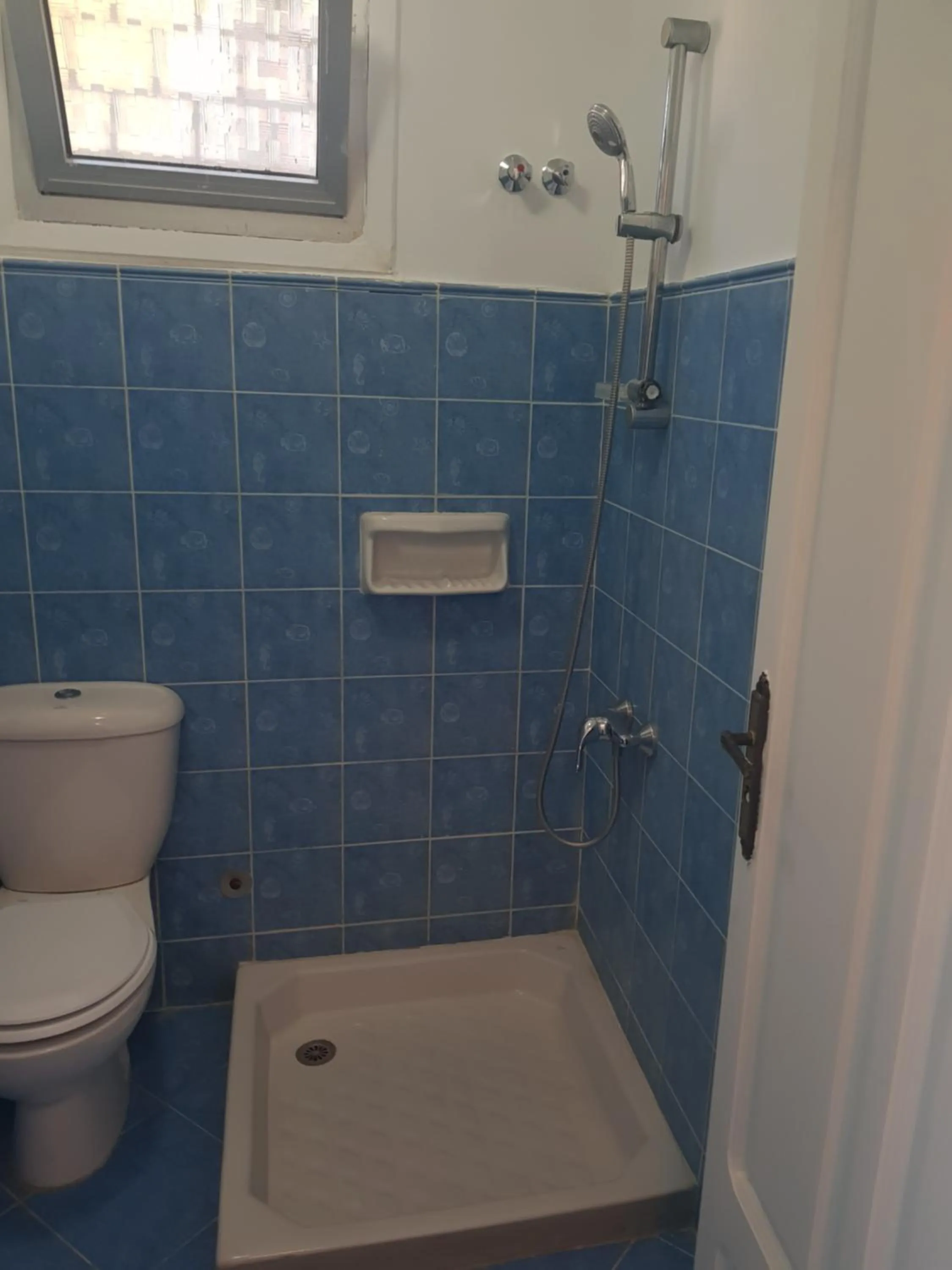 Shower in Lilly Rooms and Studio