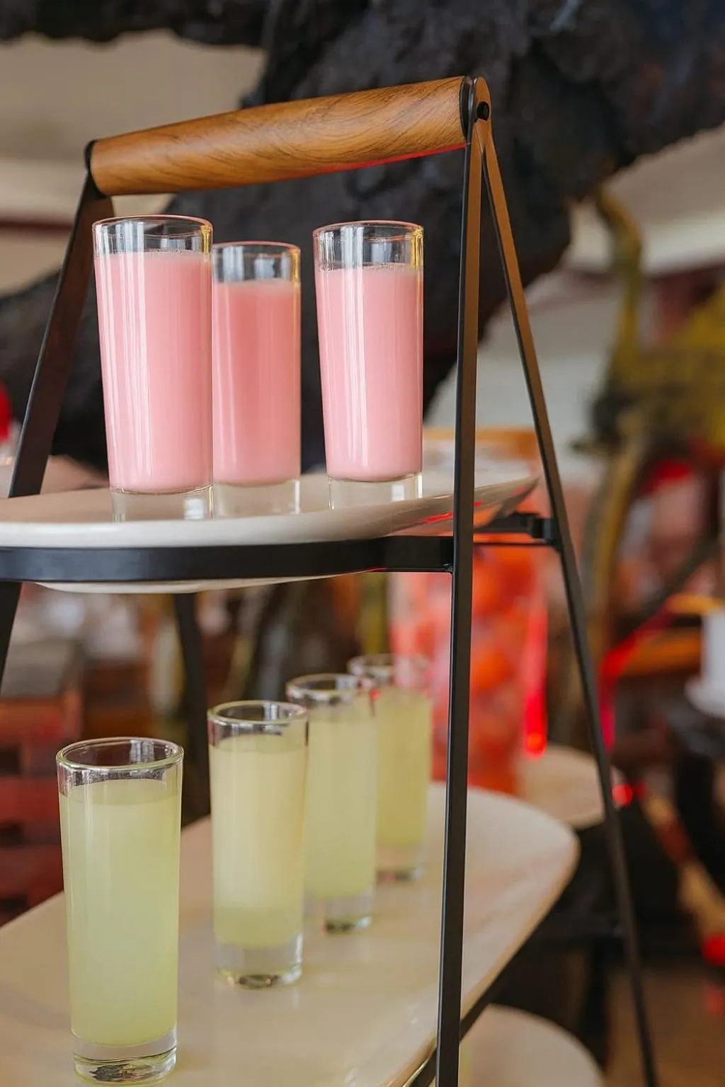 Drinks in Centauria Lake Resort