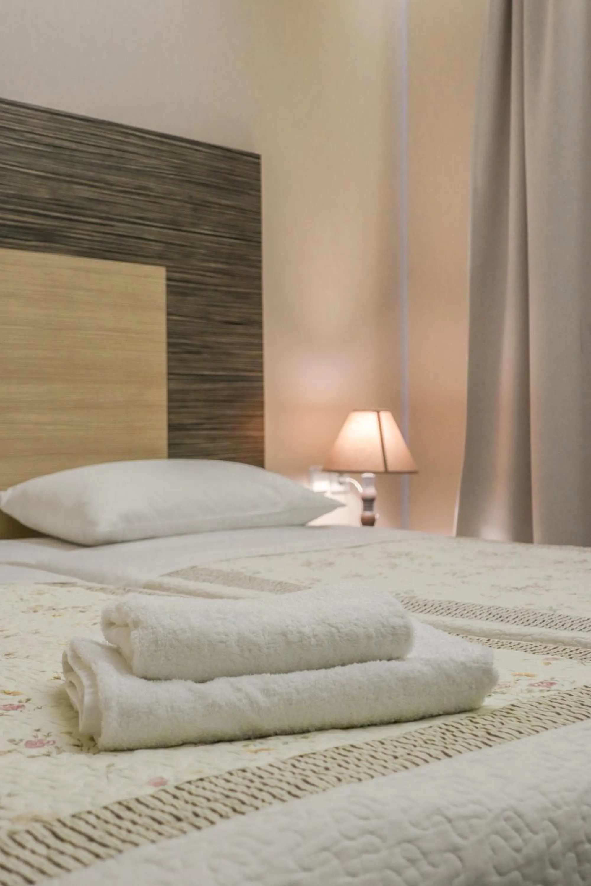 Delfini Beach Hotel & Suites