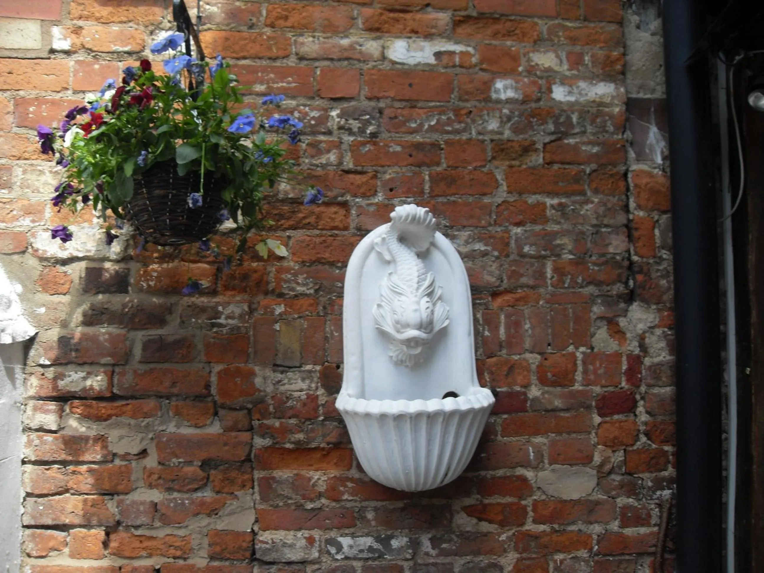 Garden in Jessop House