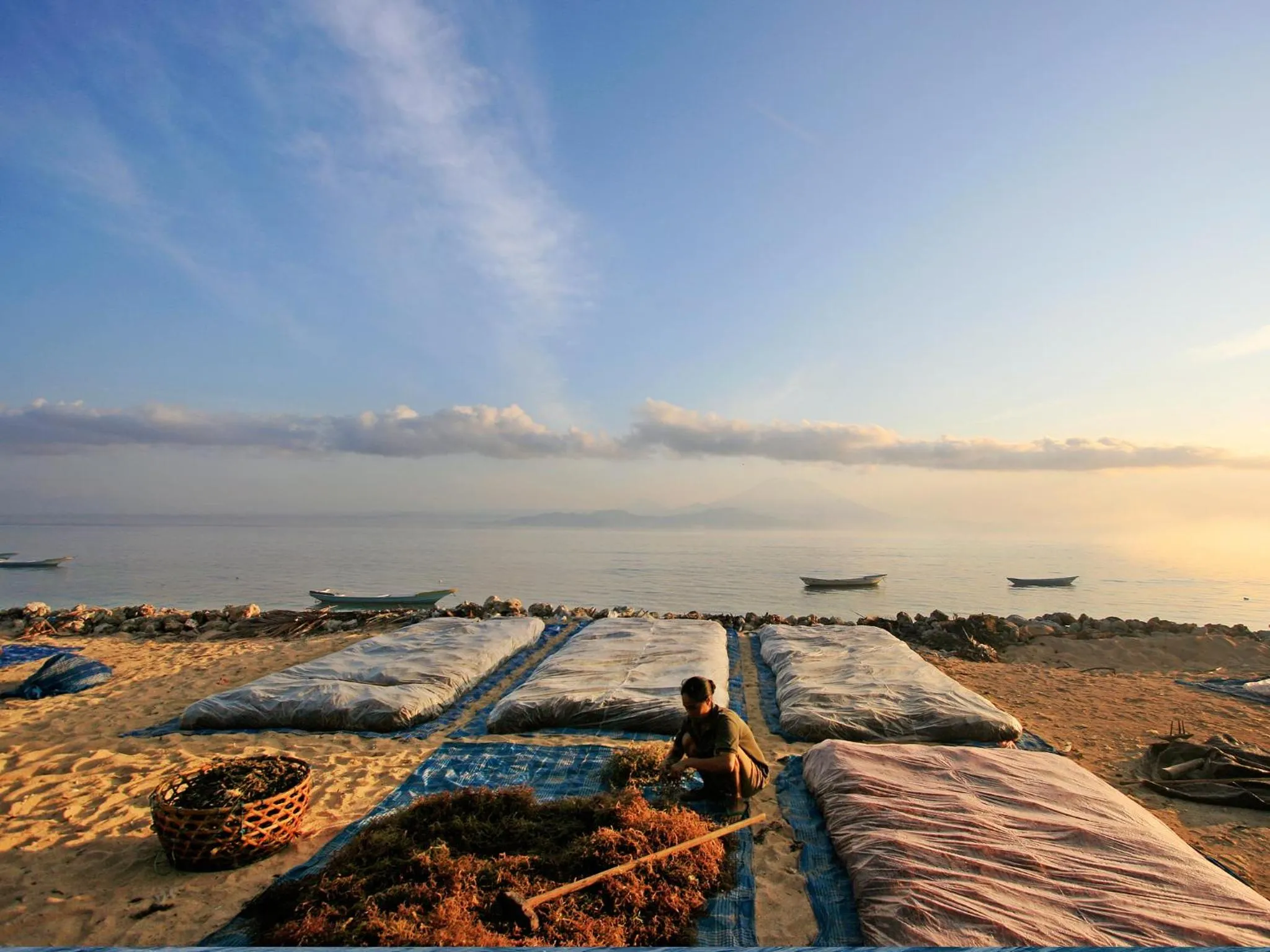 Area and facilities in Pondok Jenggala