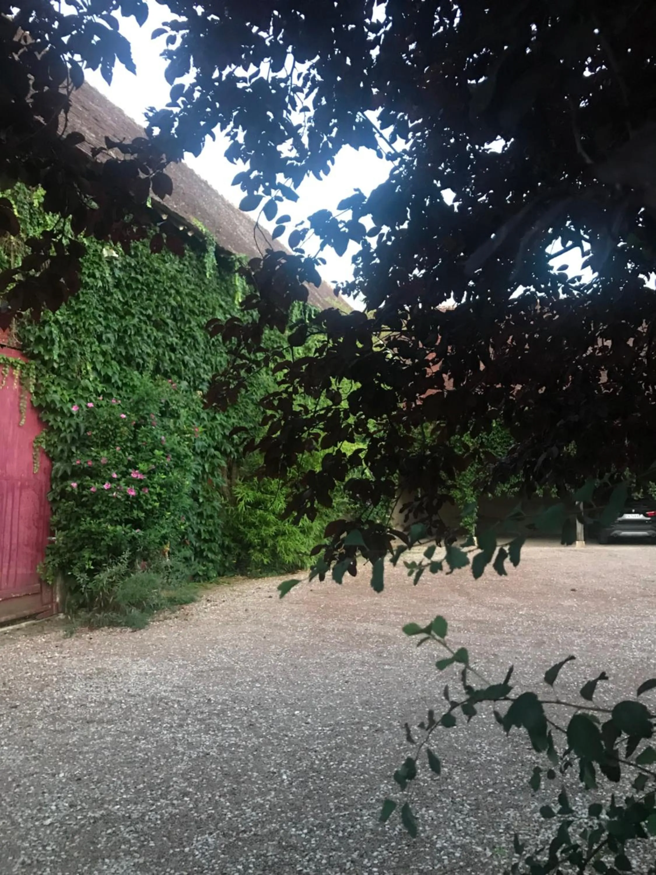 Balcony/Terrace in Blanche de Castille