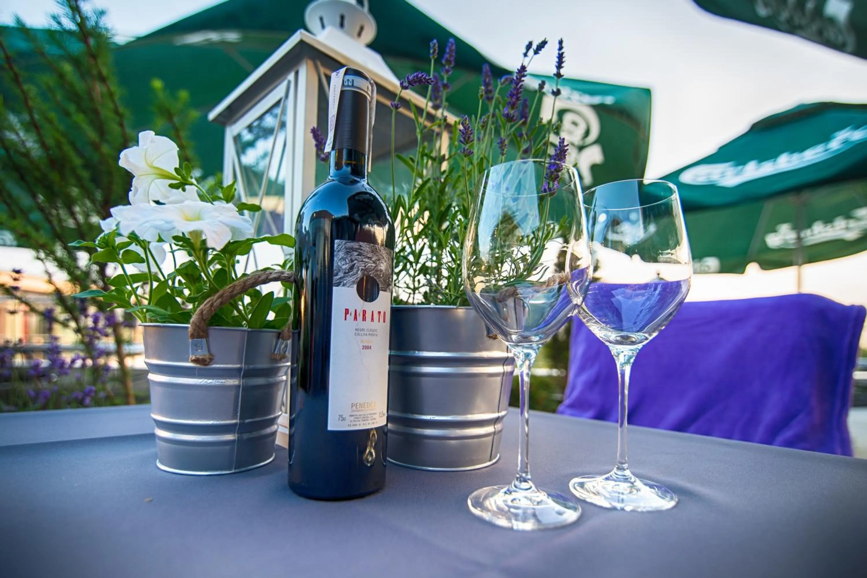 Balcony/Terrace in Blue Diamond Hotel Active SPA