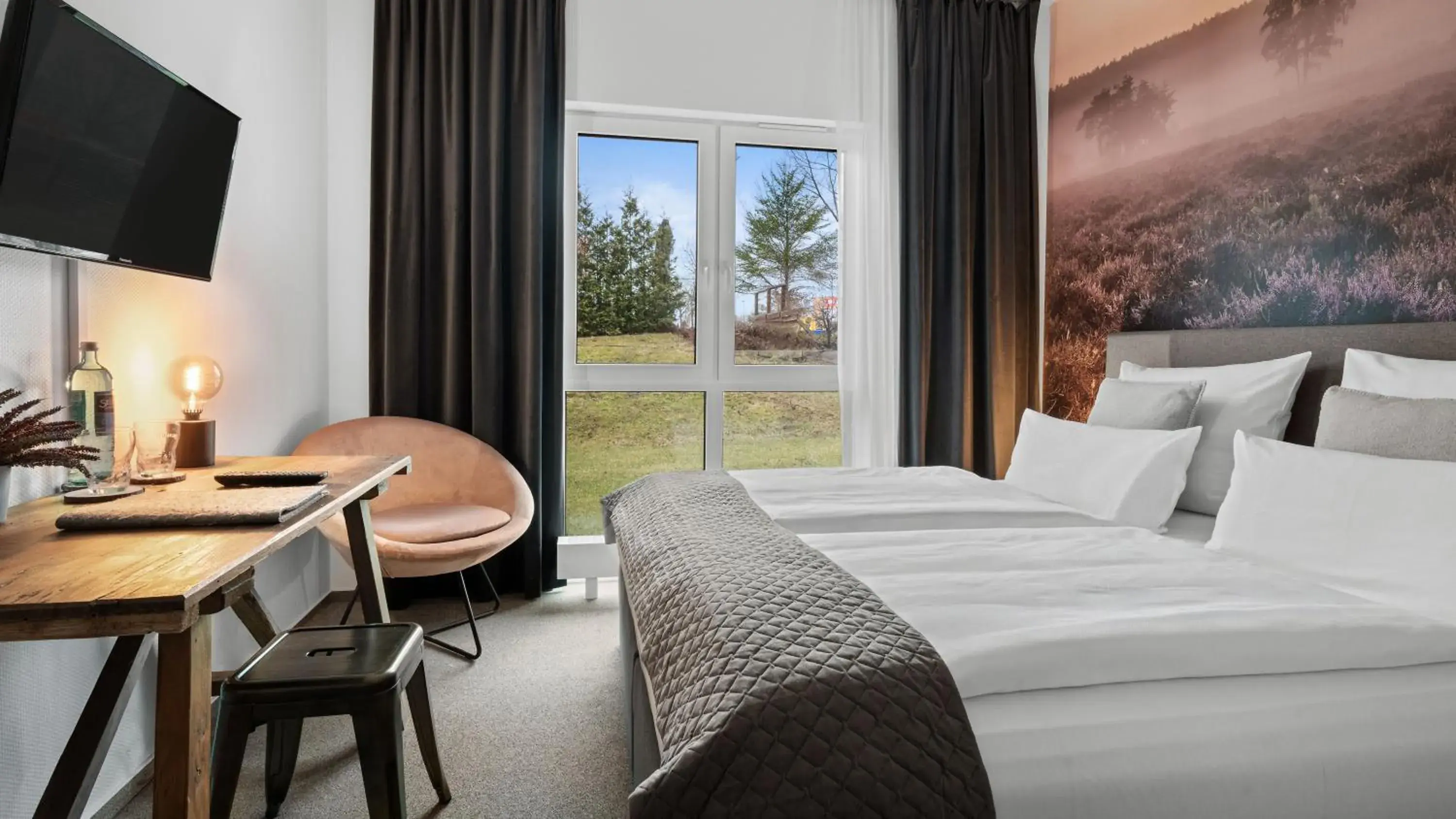 Double Room - single occupancy in Alpine Hotel Double Room - single occupancy in Alpine Hotel