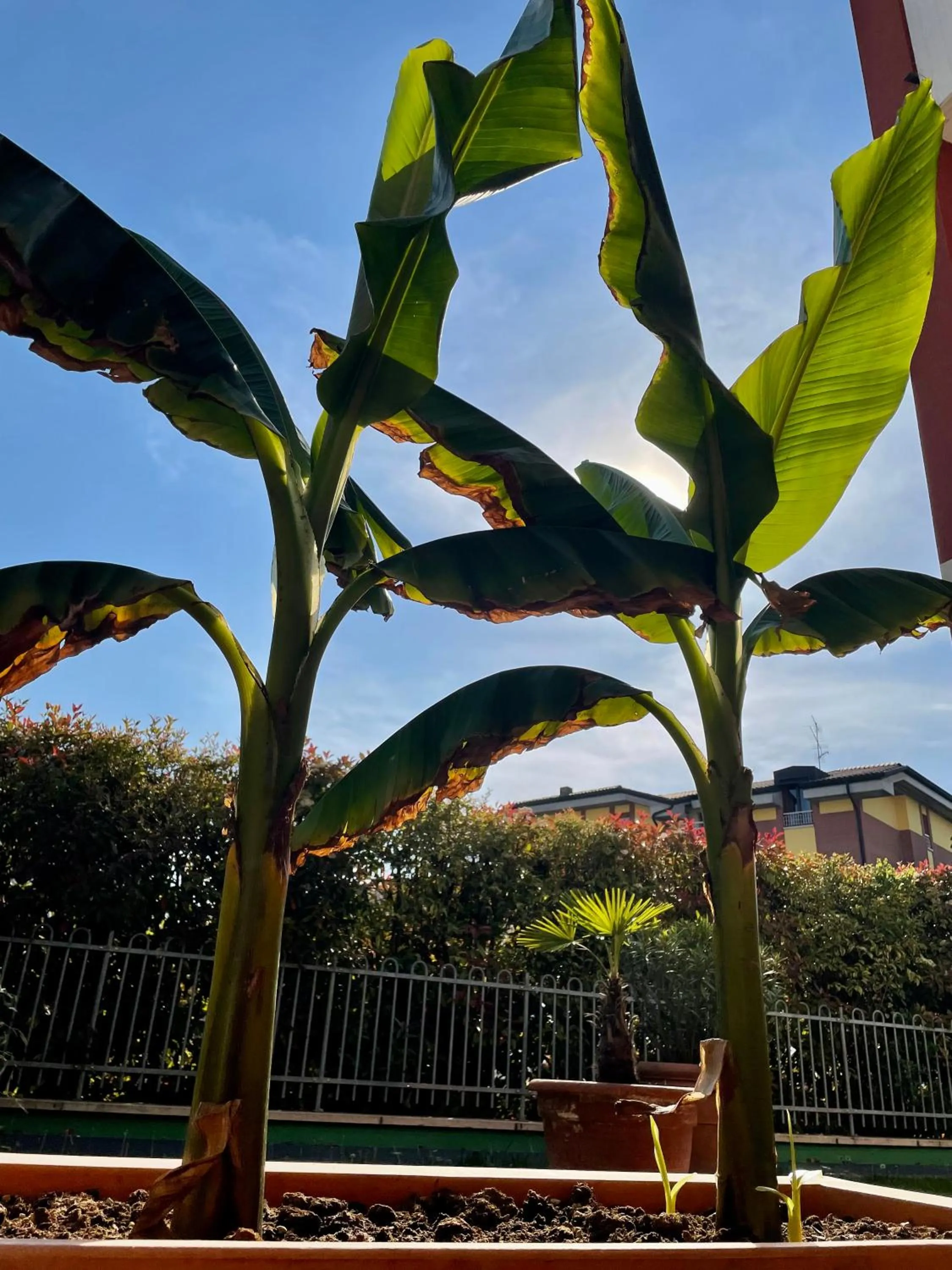 Ferretti Residence Garda Palace