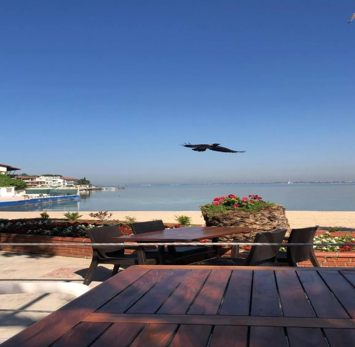 Paradise Island Hotel