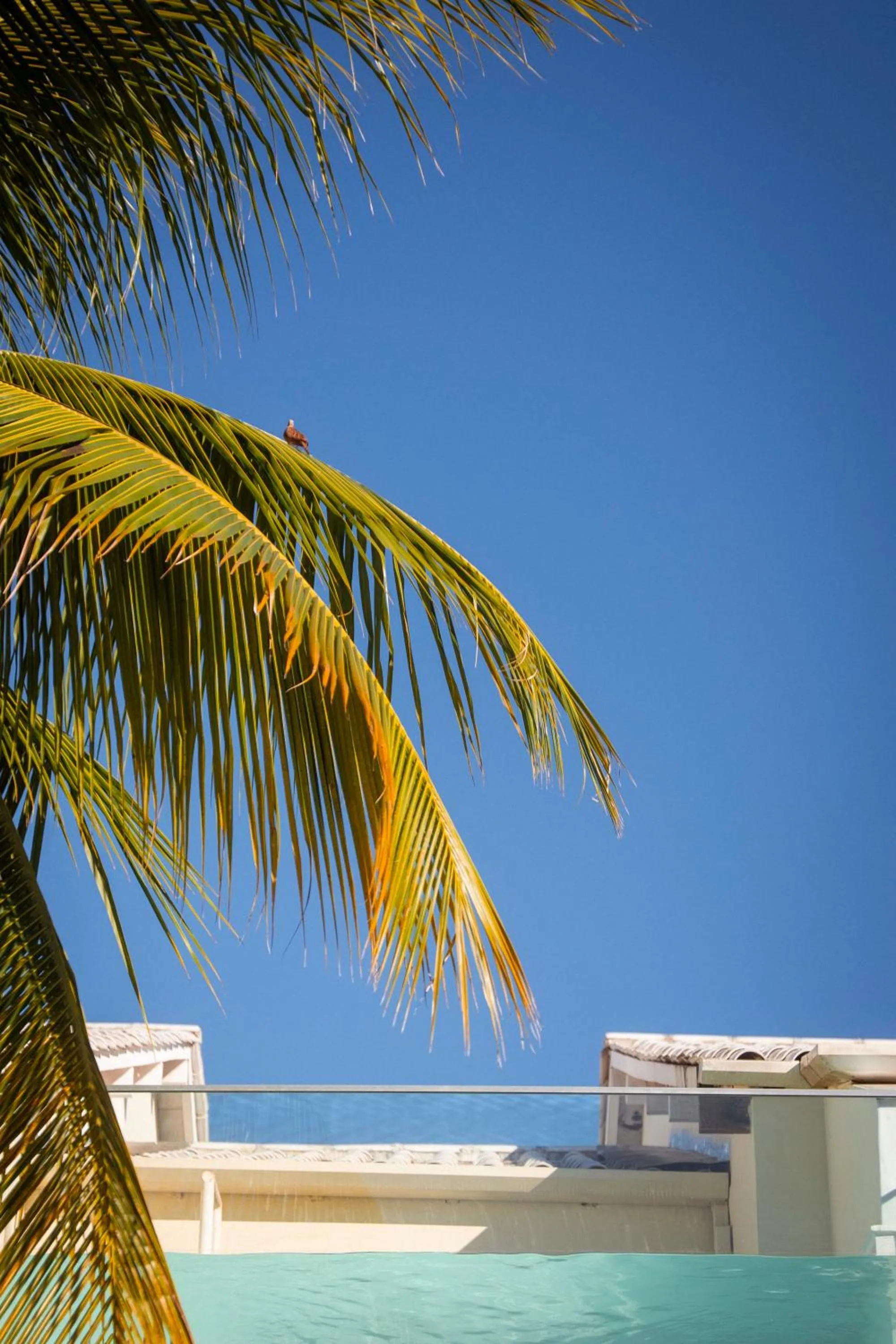 Pousada Villa del Sol