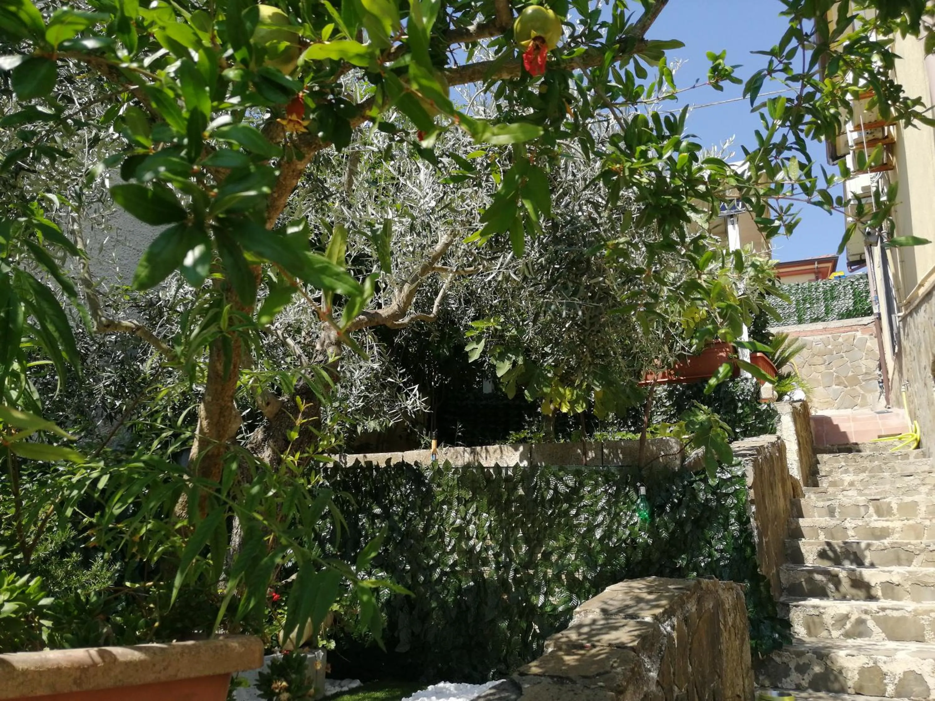 La Vecchia Taverna B&B