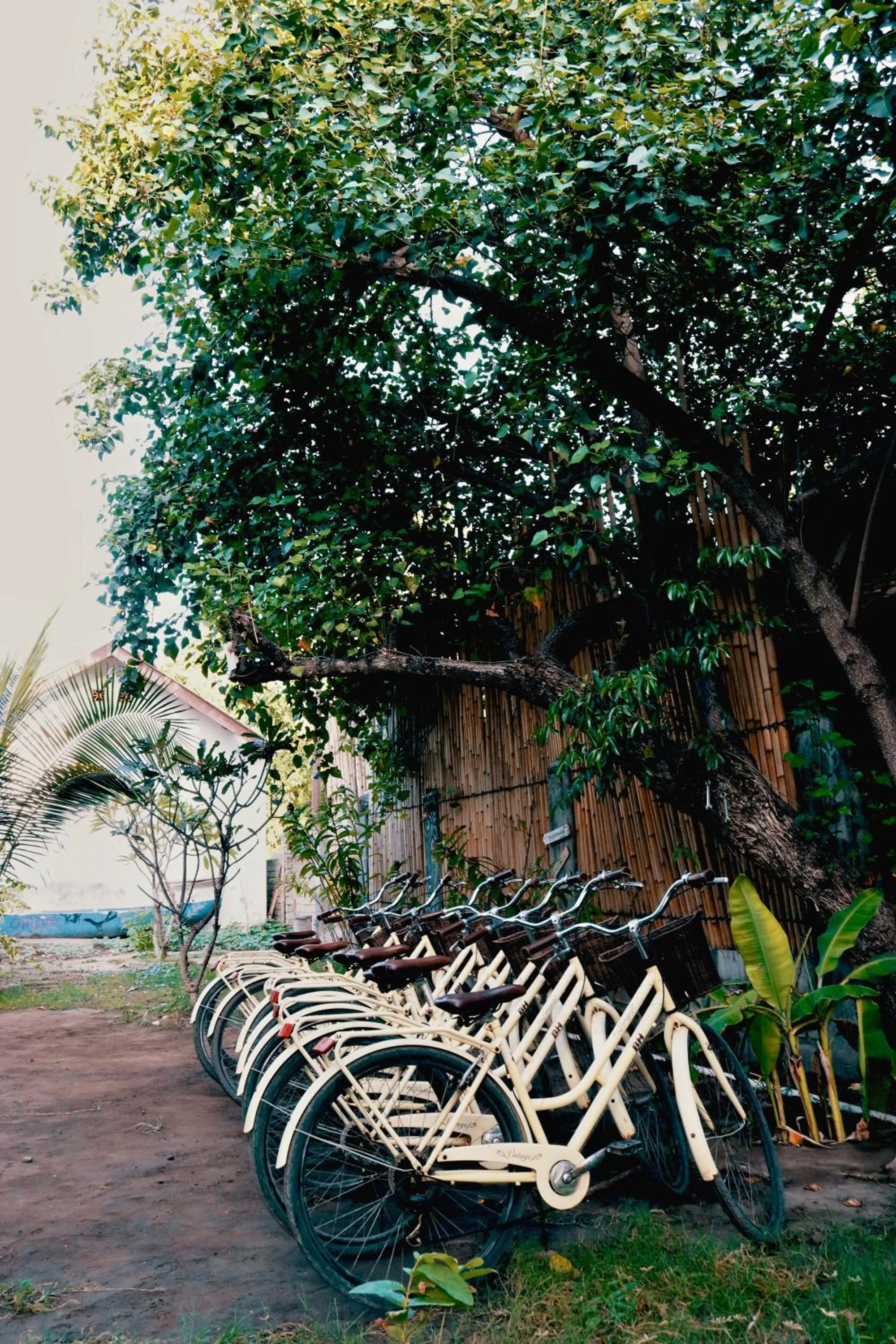 Property building in My Gili Paradise